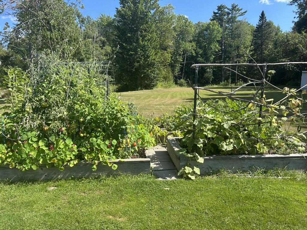 main property photo 68