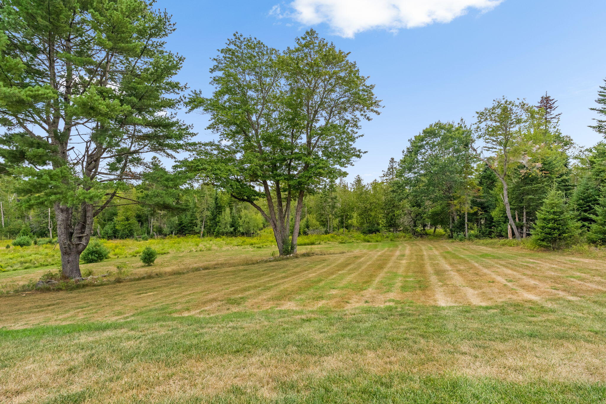 main property photo 74