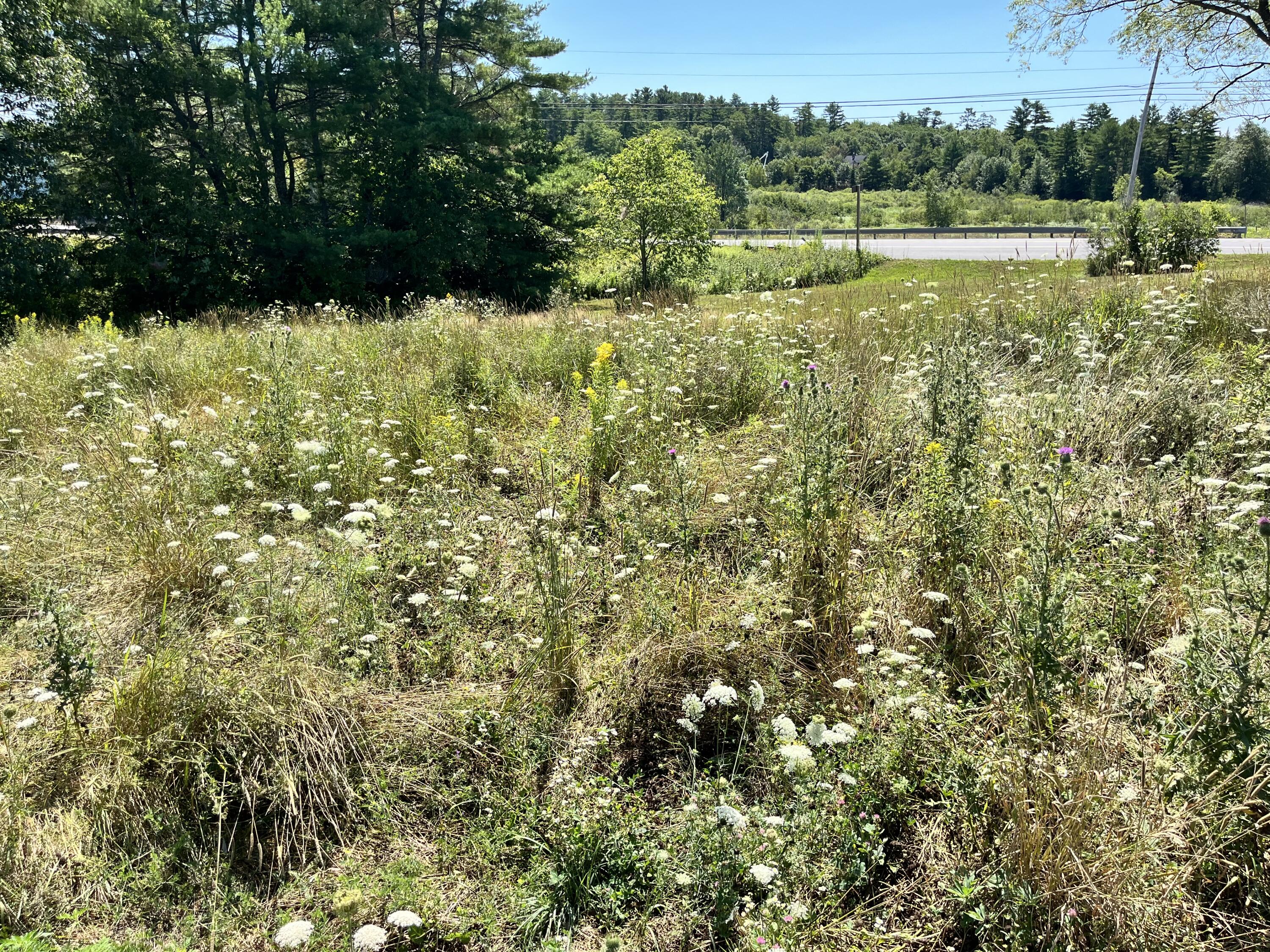main property photo 111