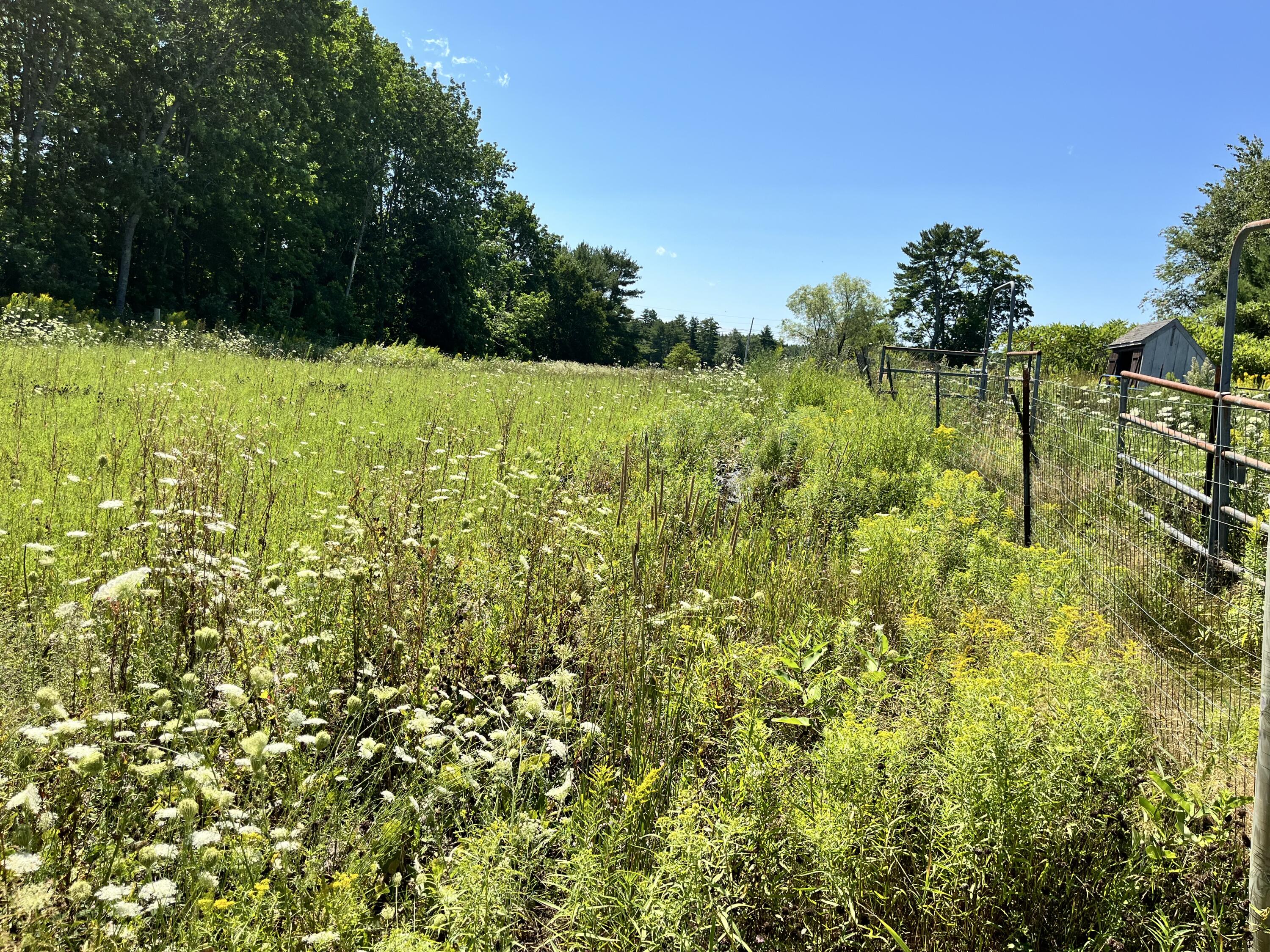 main property photo 113