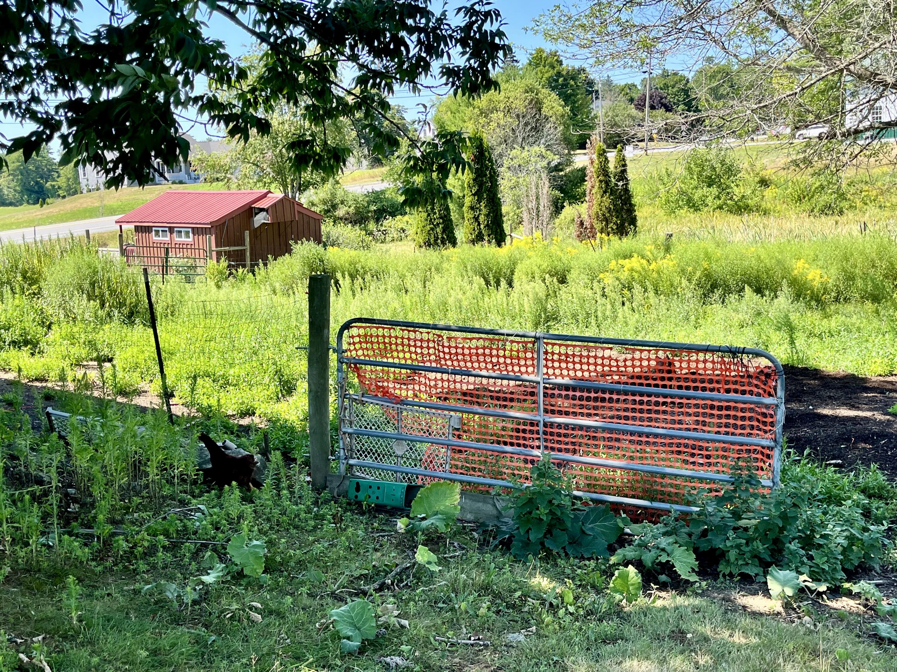 main property photo 38