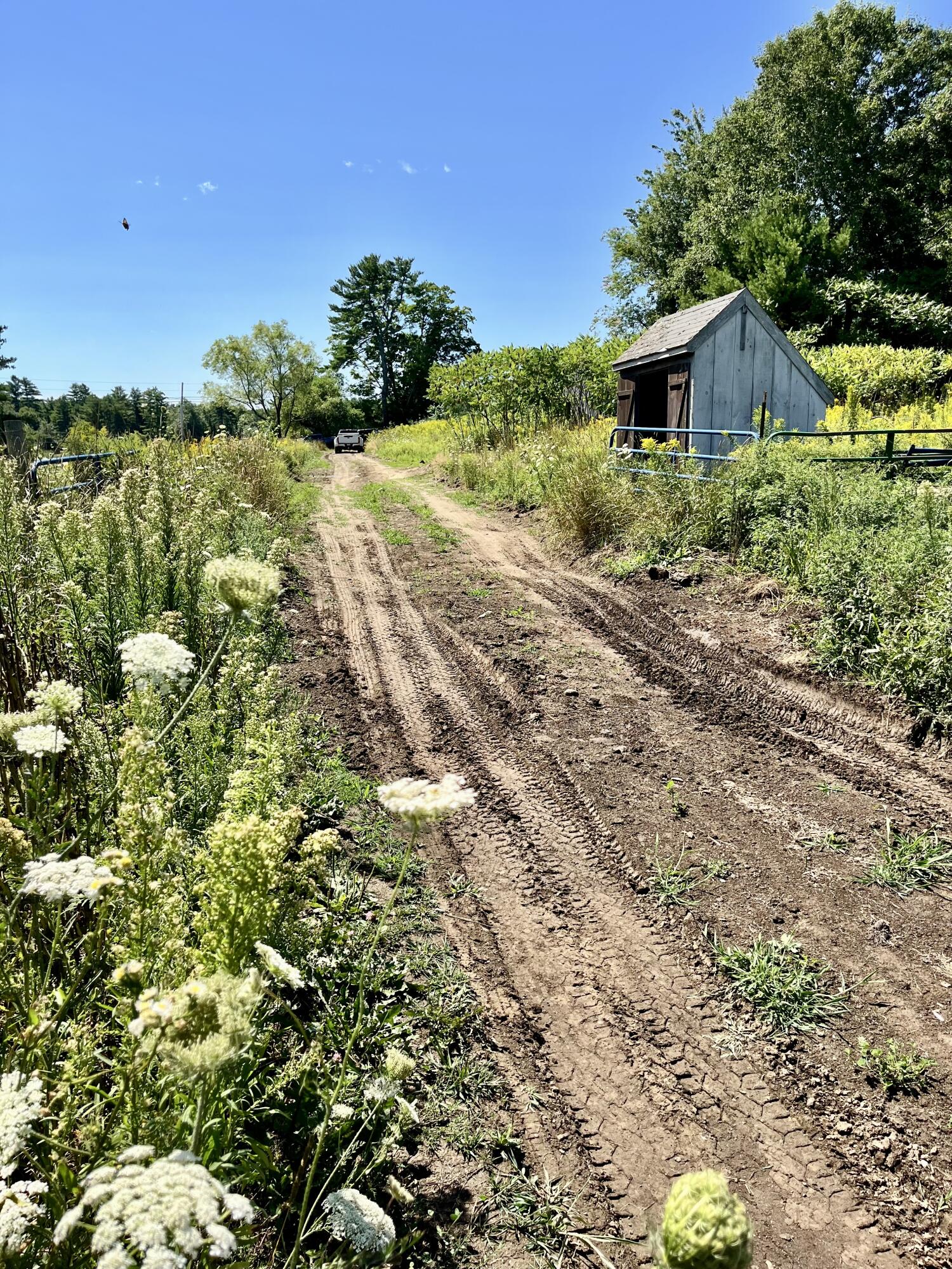 main property photo 62