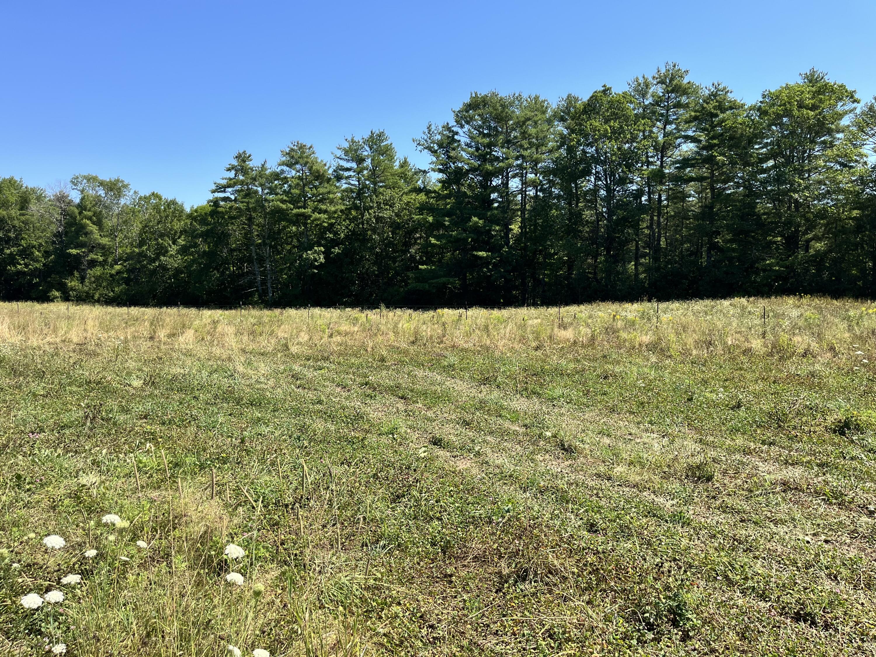 main property photo 69