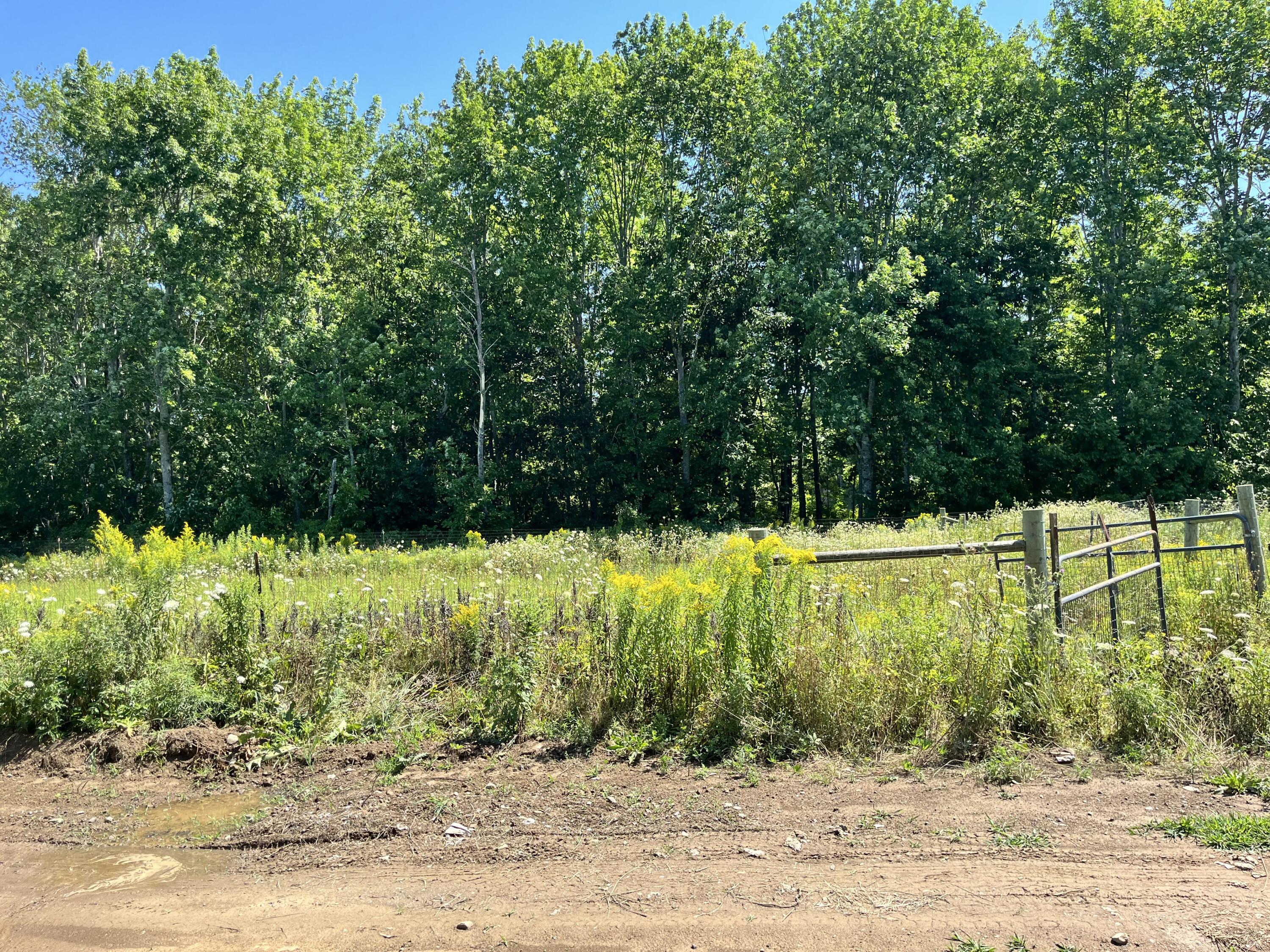 main property photo 70