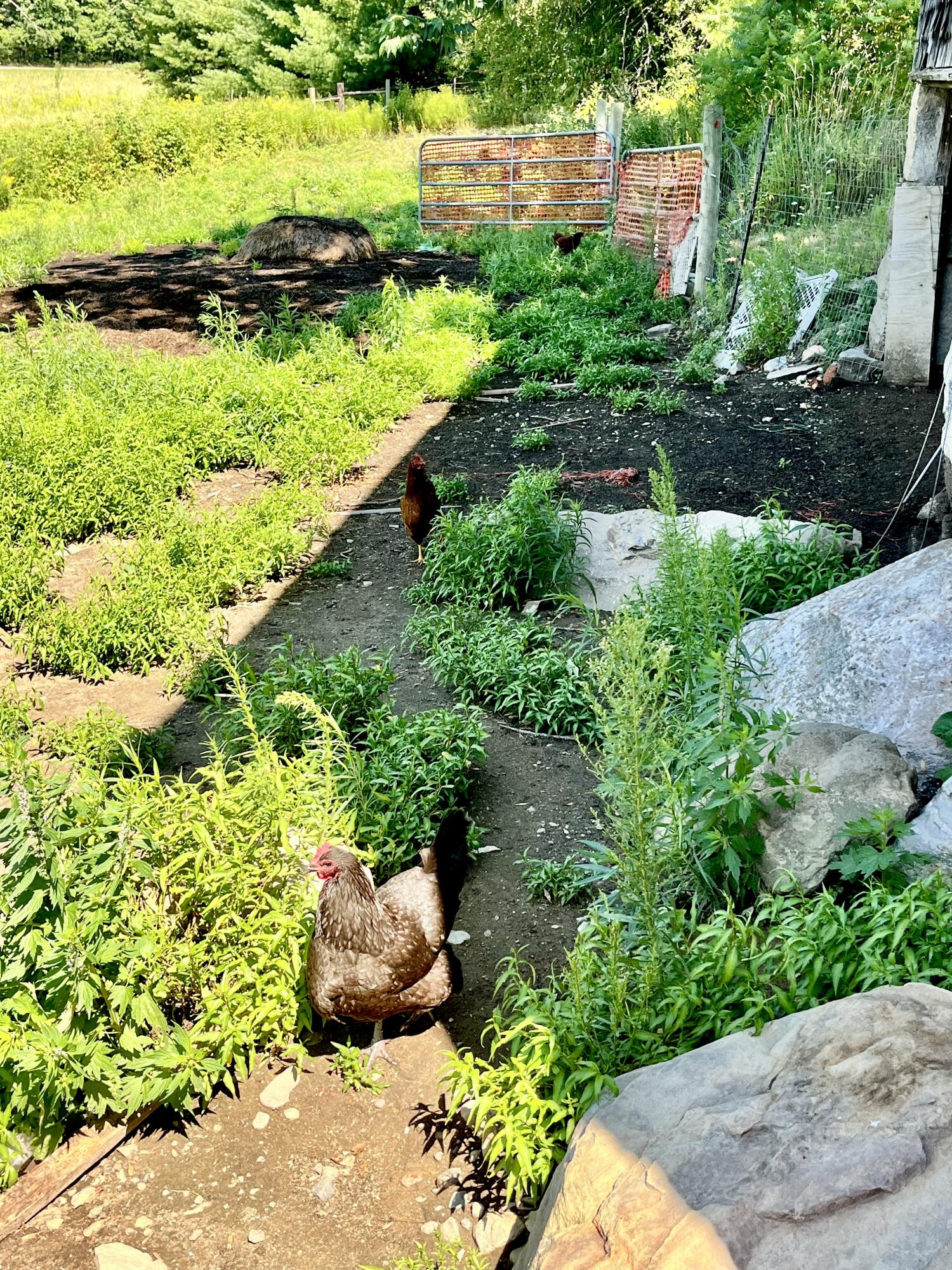 main property photo 106