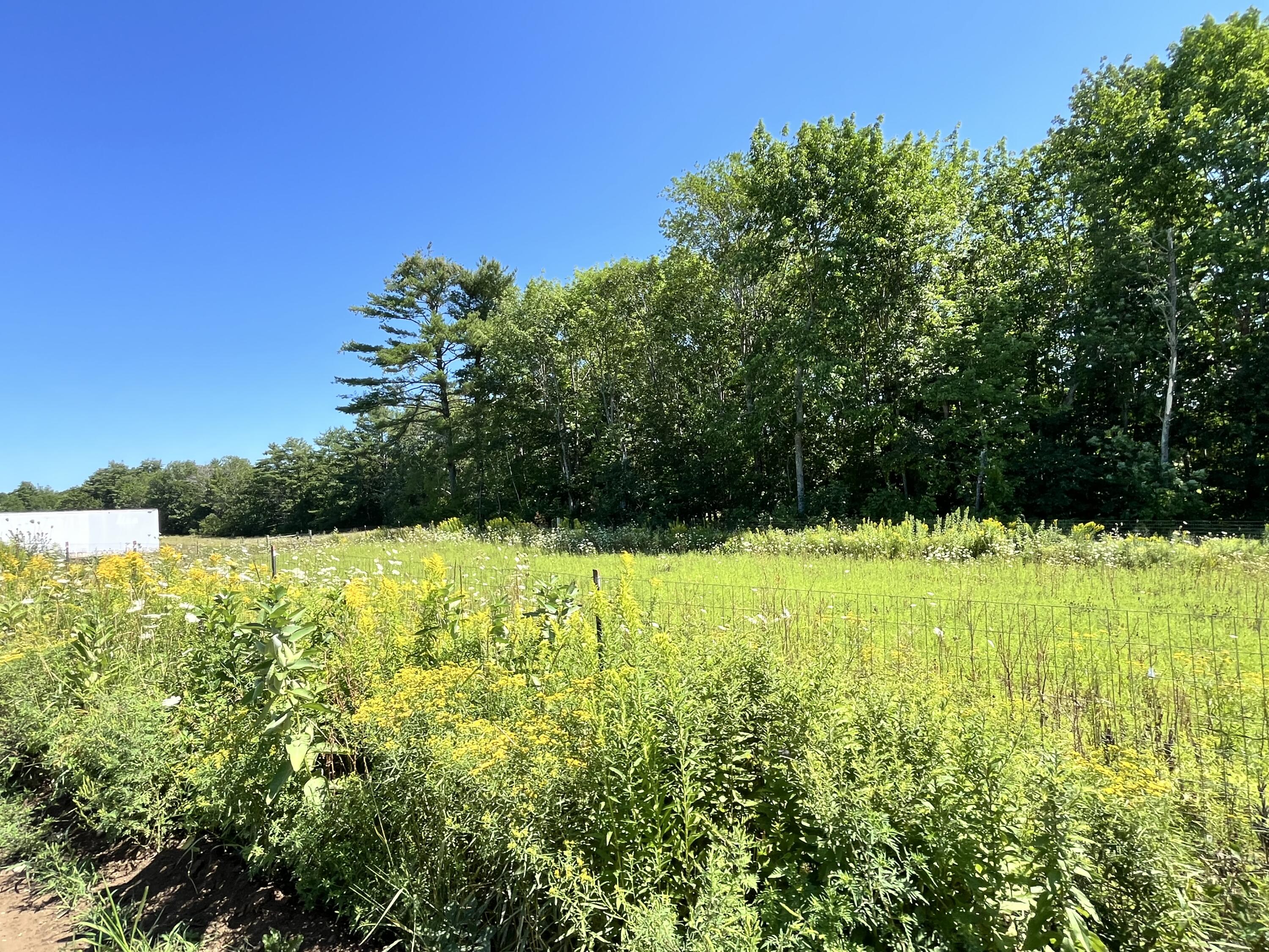 main property photo 119