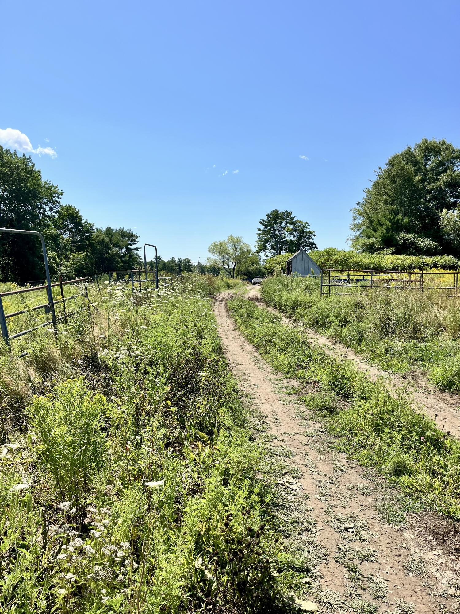 main property photo 14