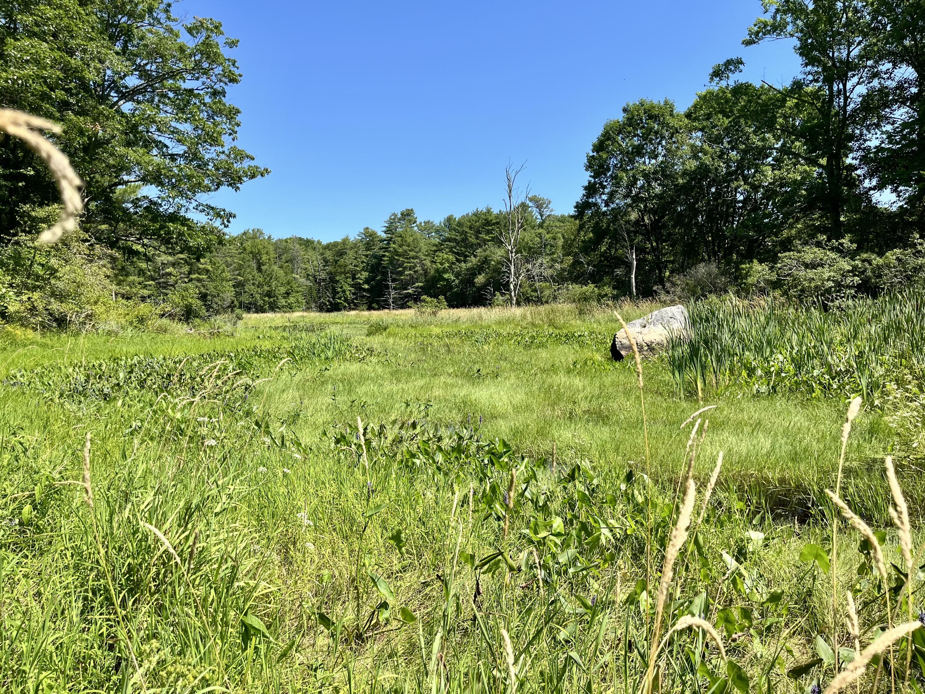 main property photo 64