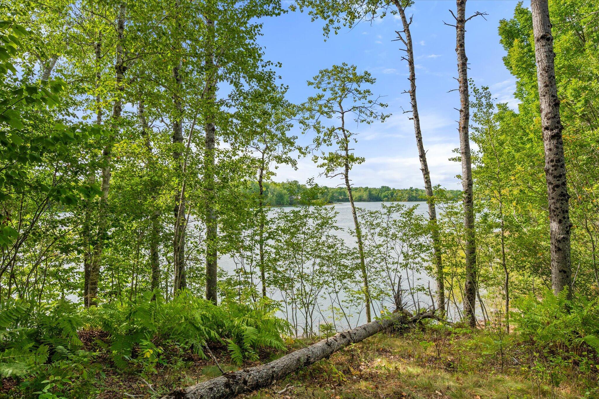 main property photo 48