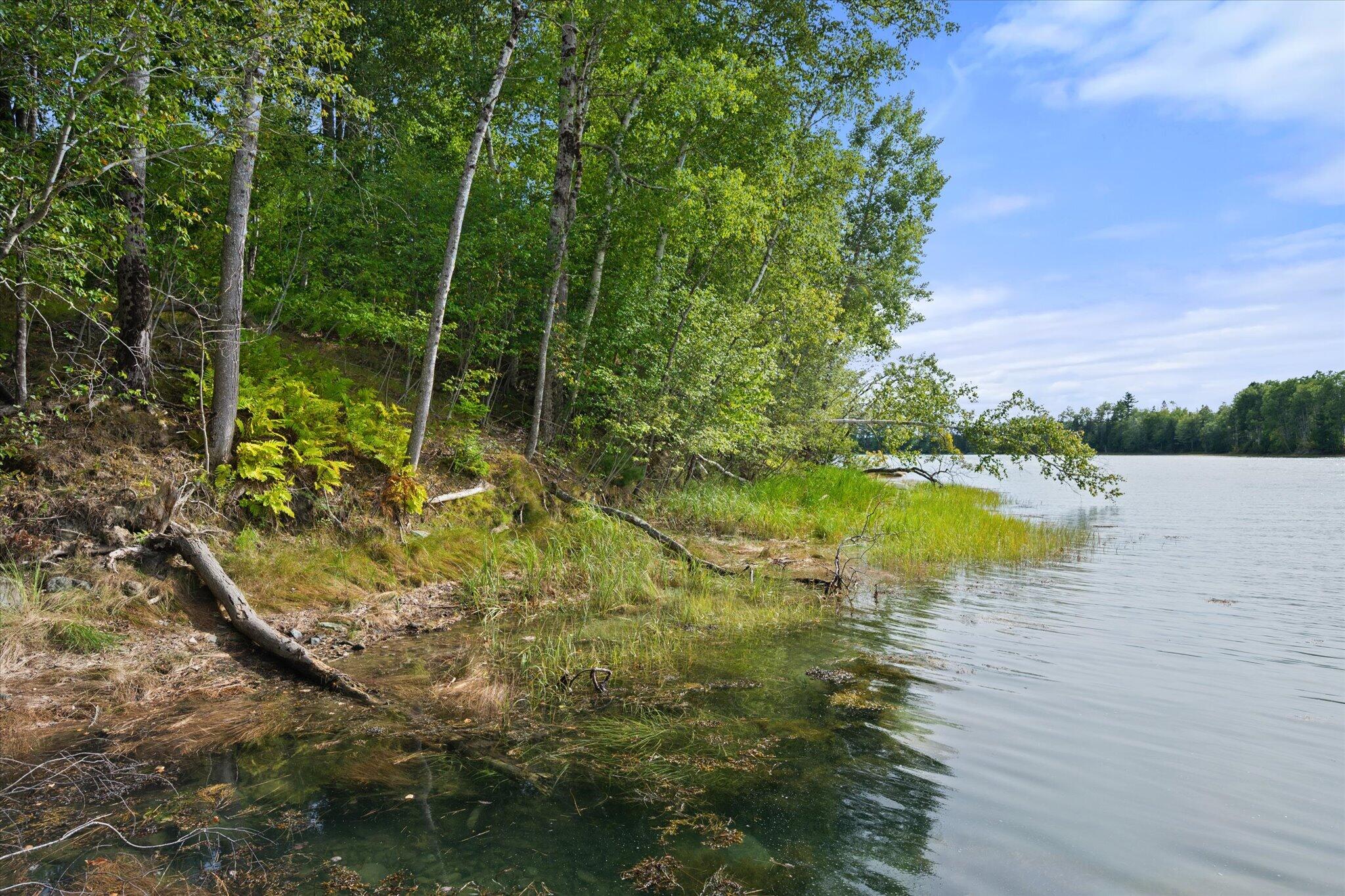 main property photo 49