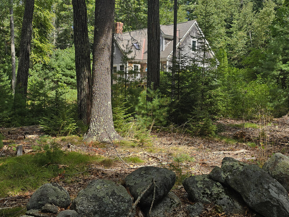 main property photo 41