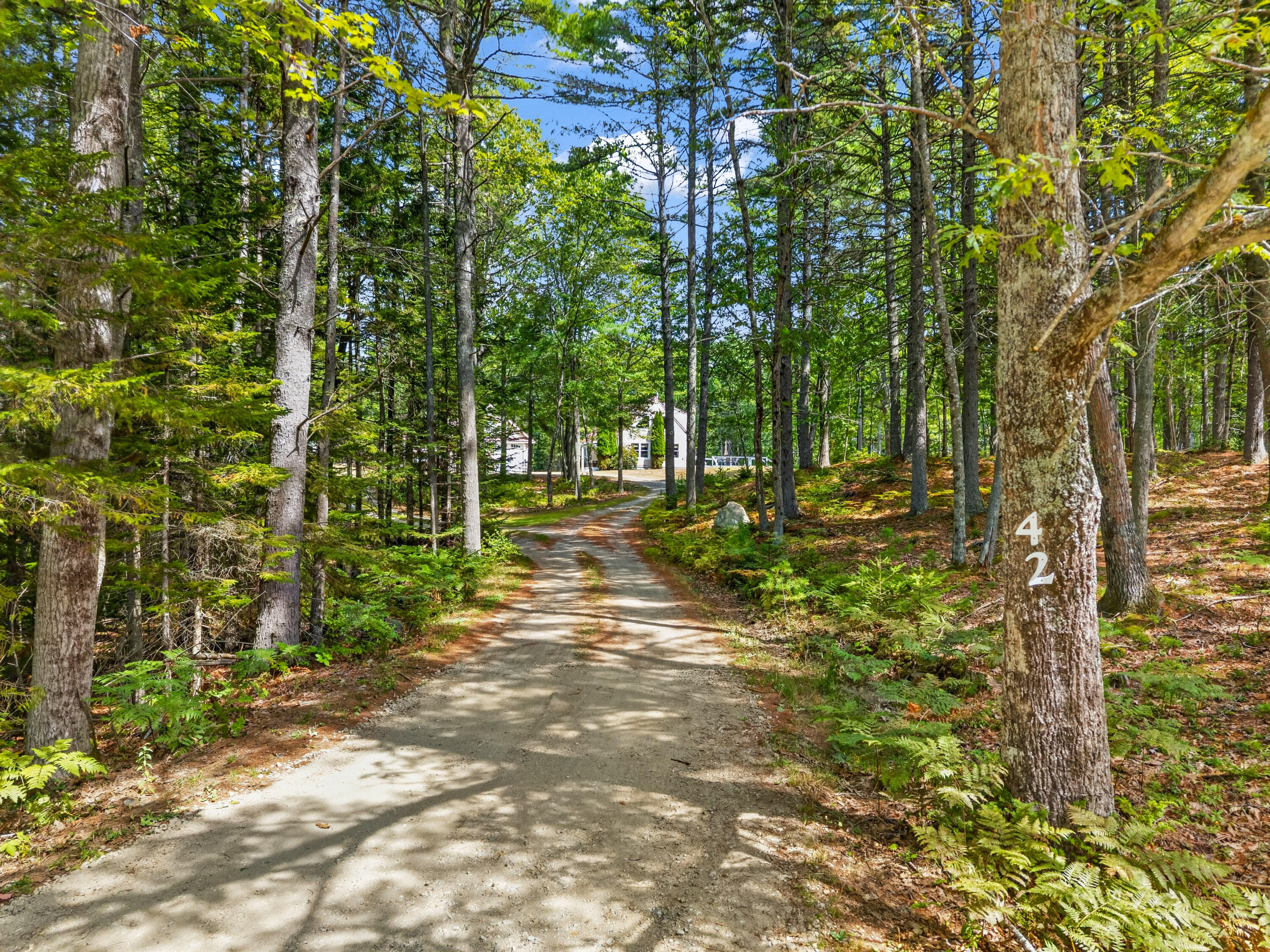 main property photo 48