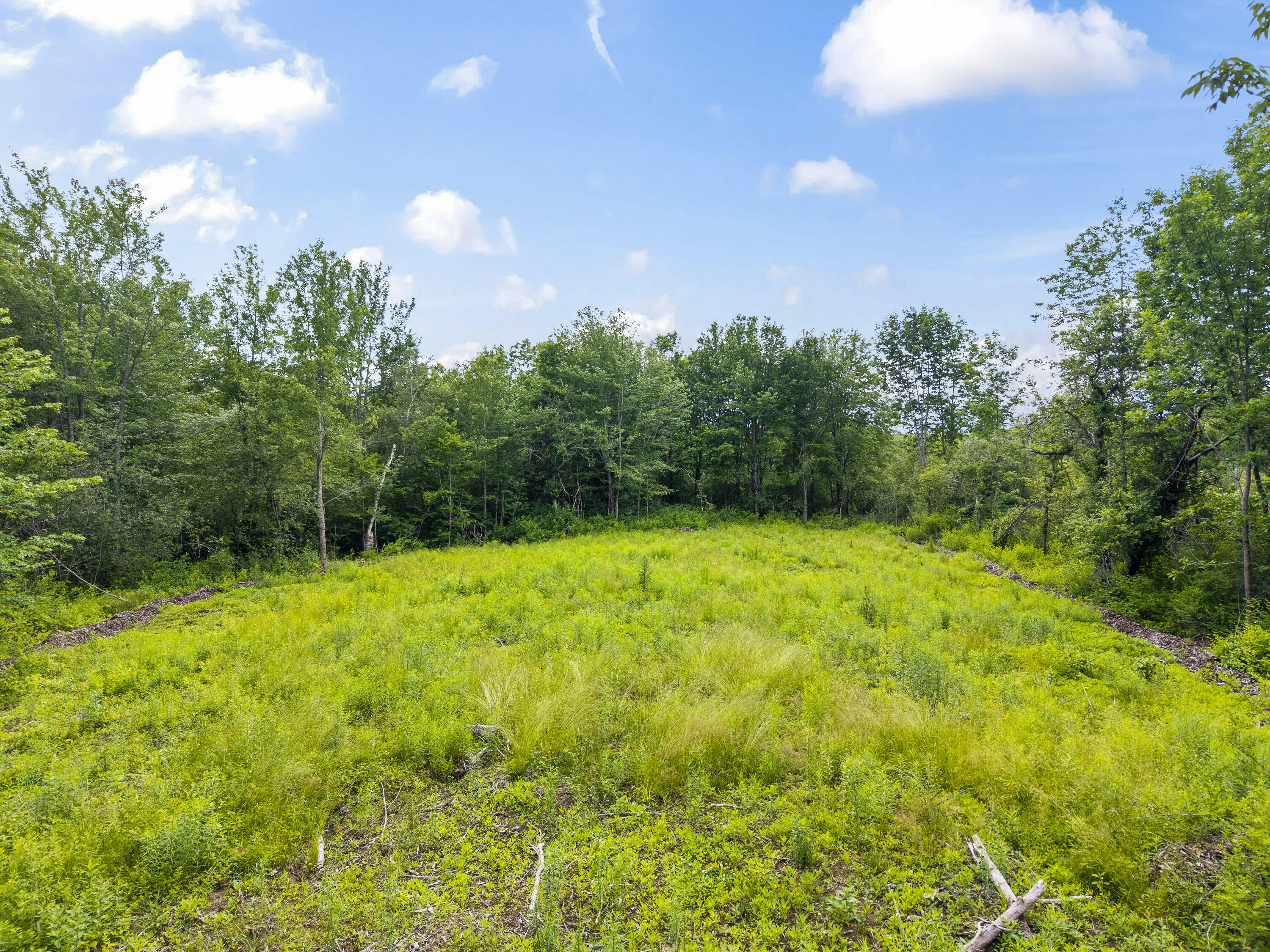 main property photo 58