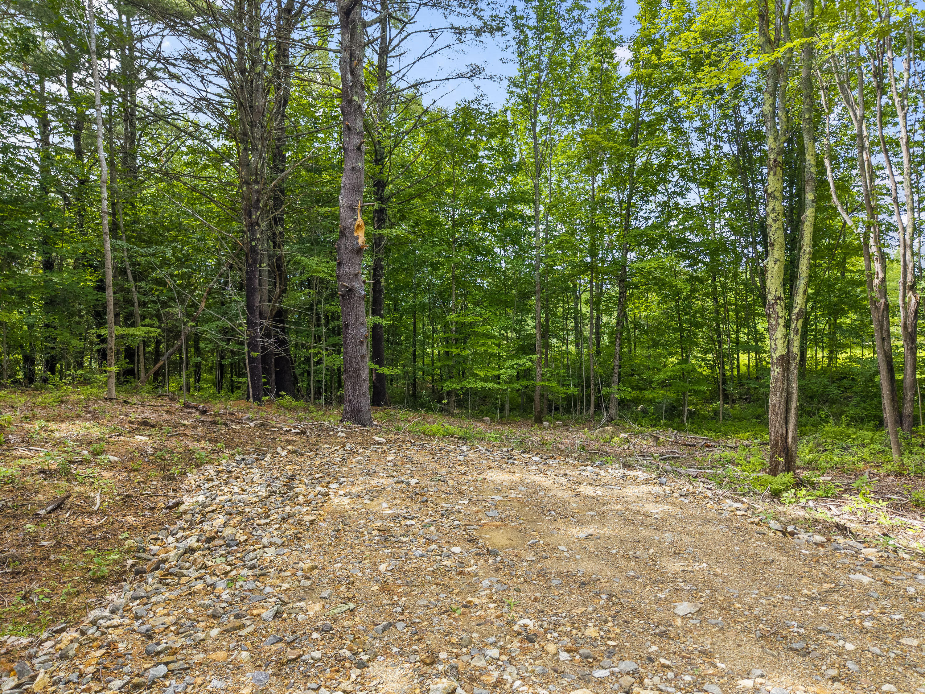main property photo 83