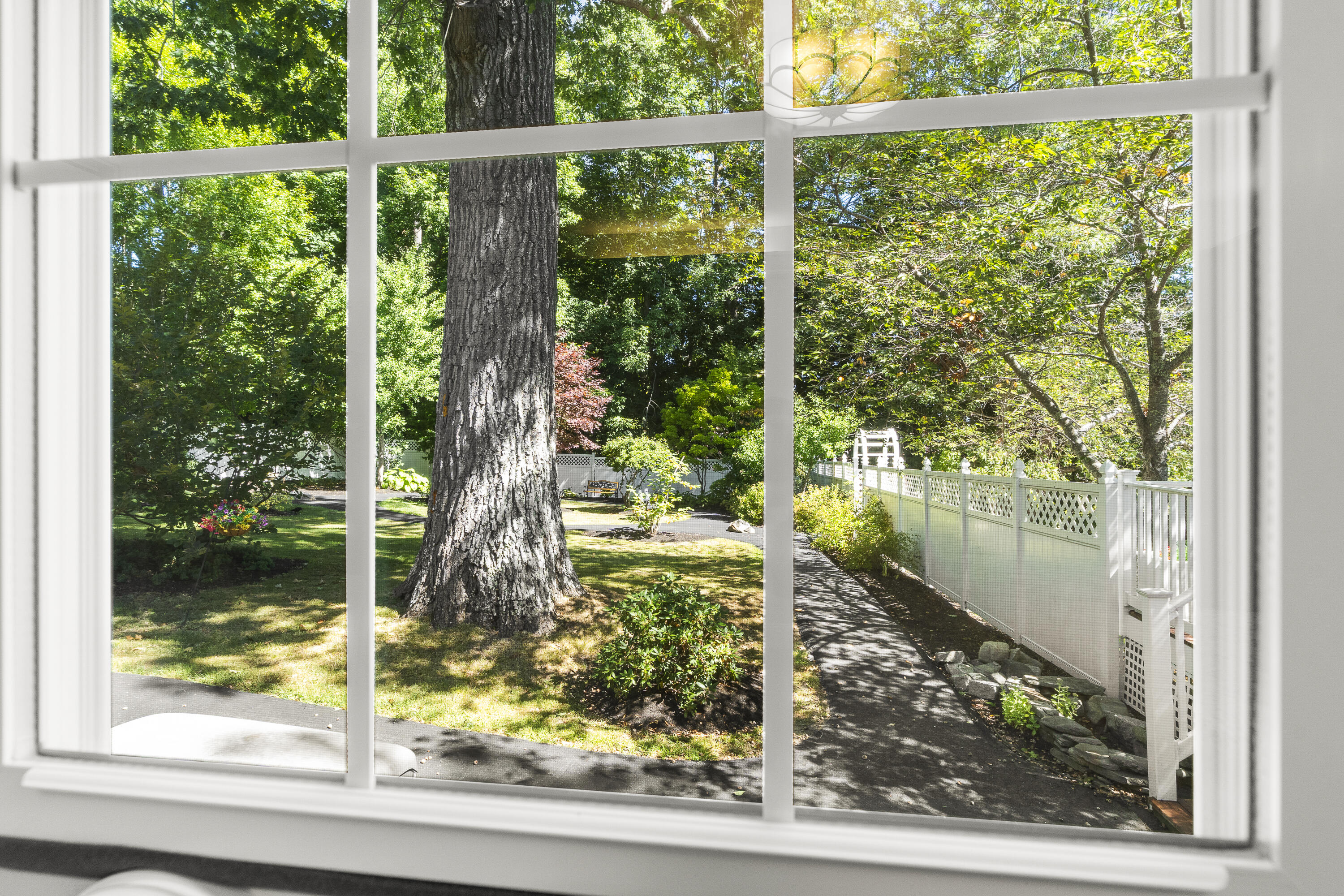 main property photo 67