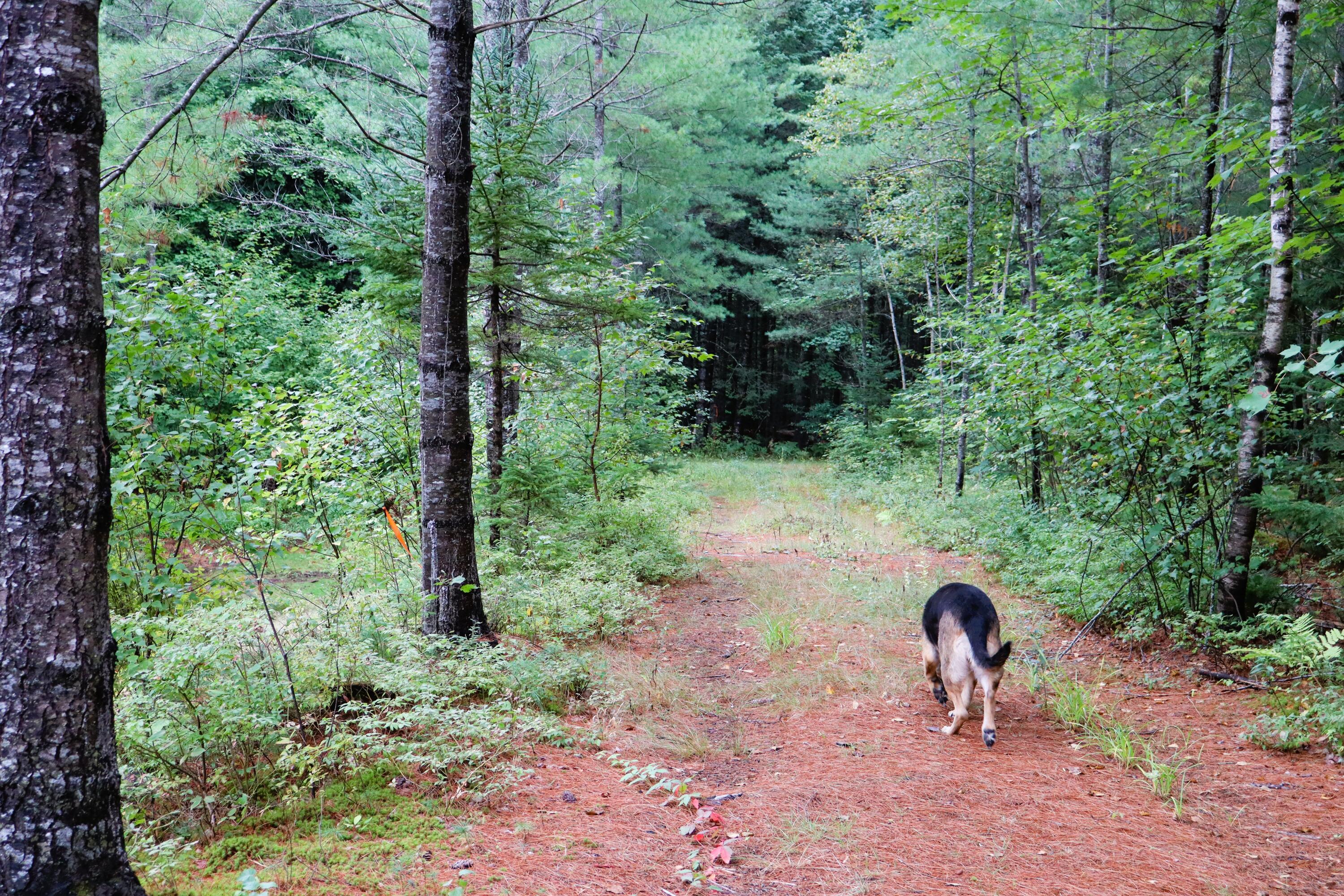 main property photo 7