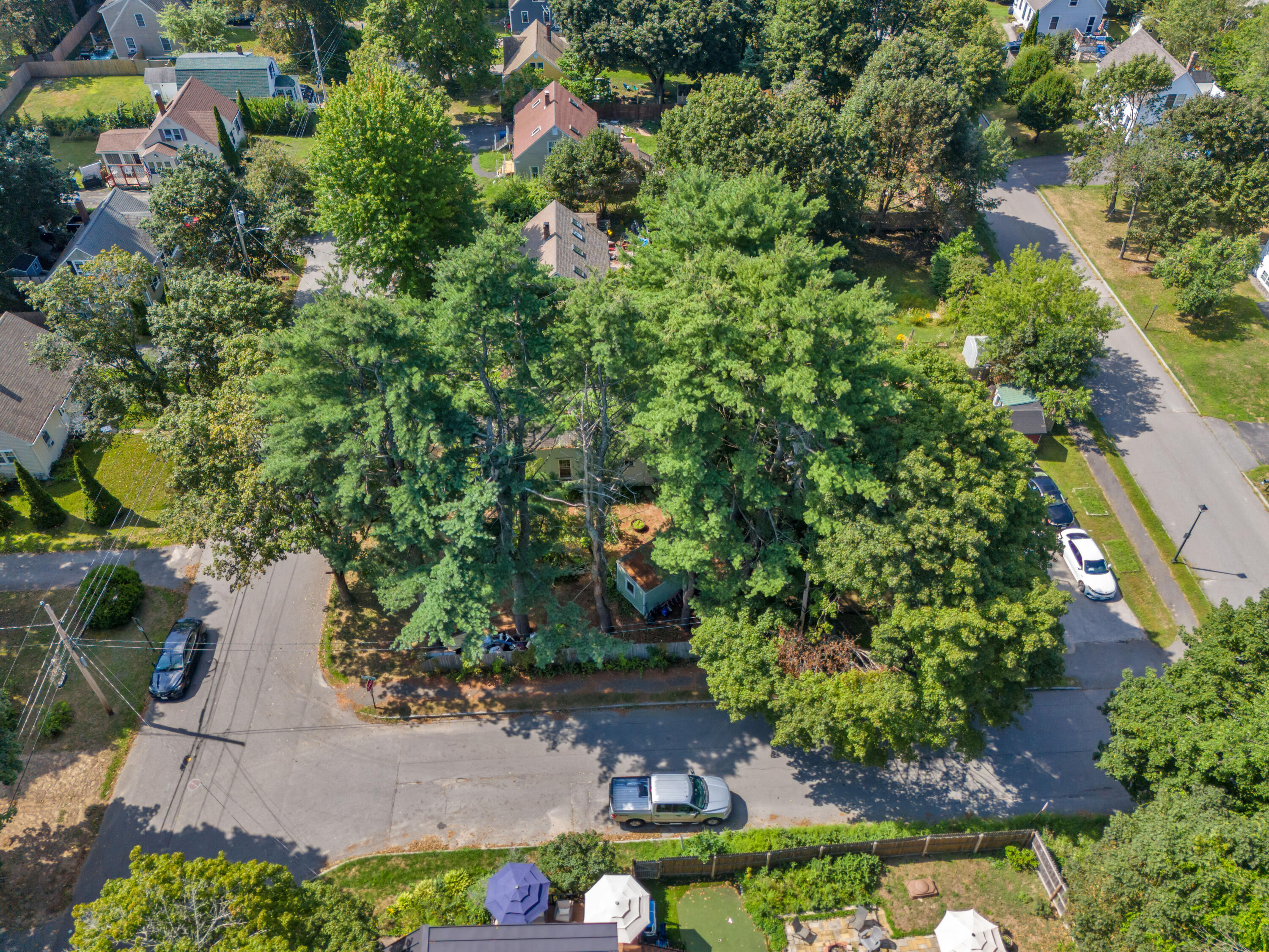 main property photo 42