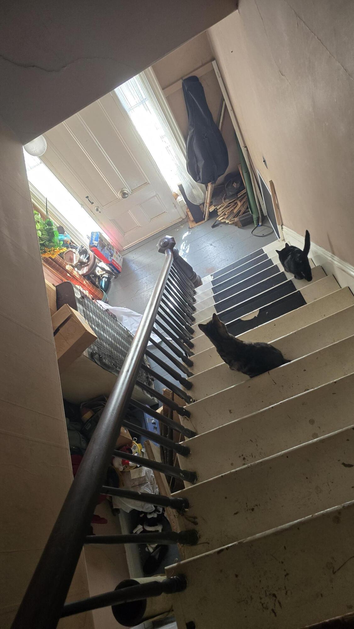 main property photo 10