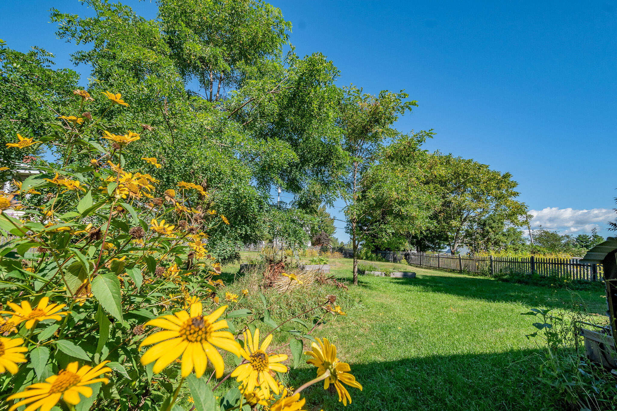 main property photo 50