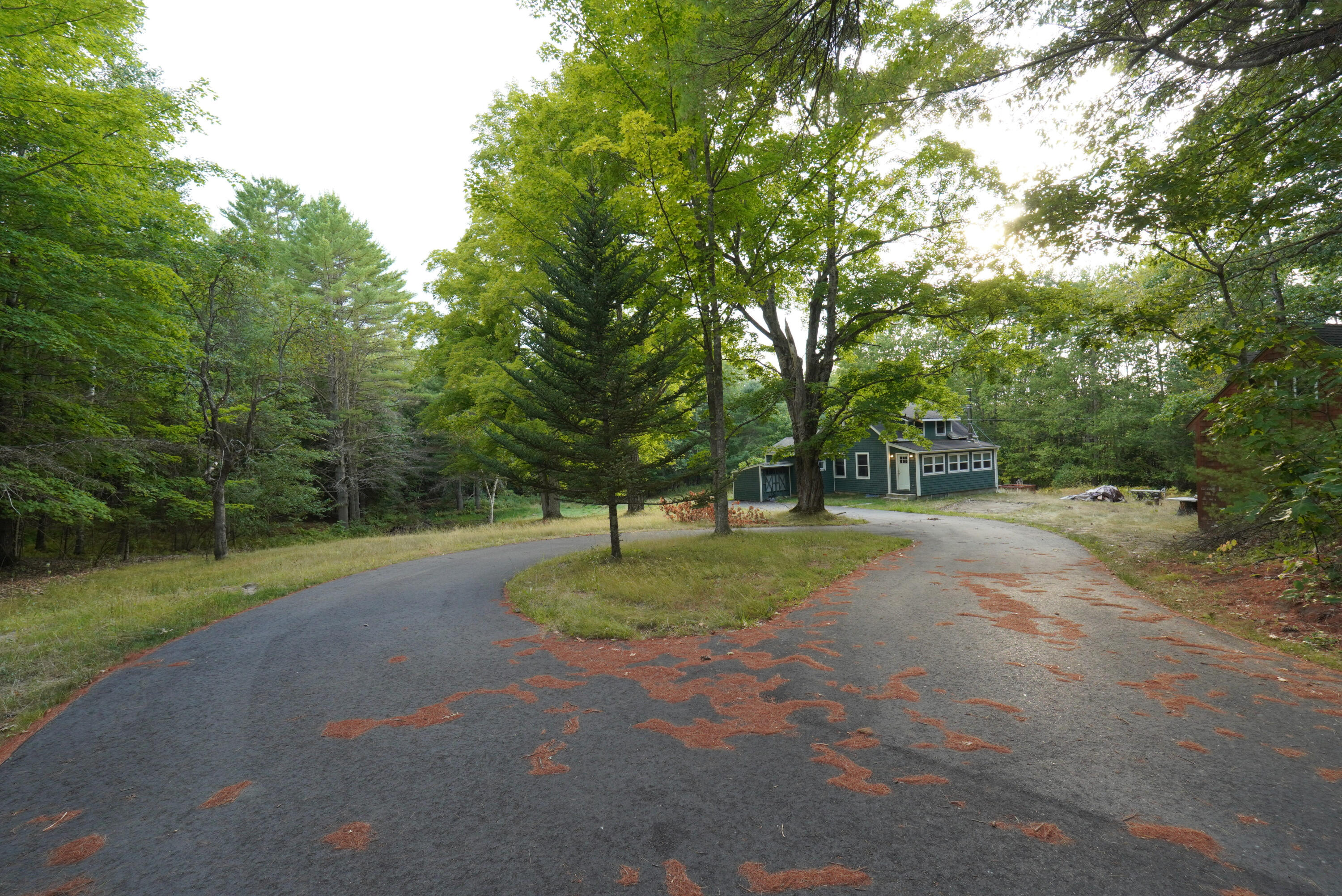 main property photo 32