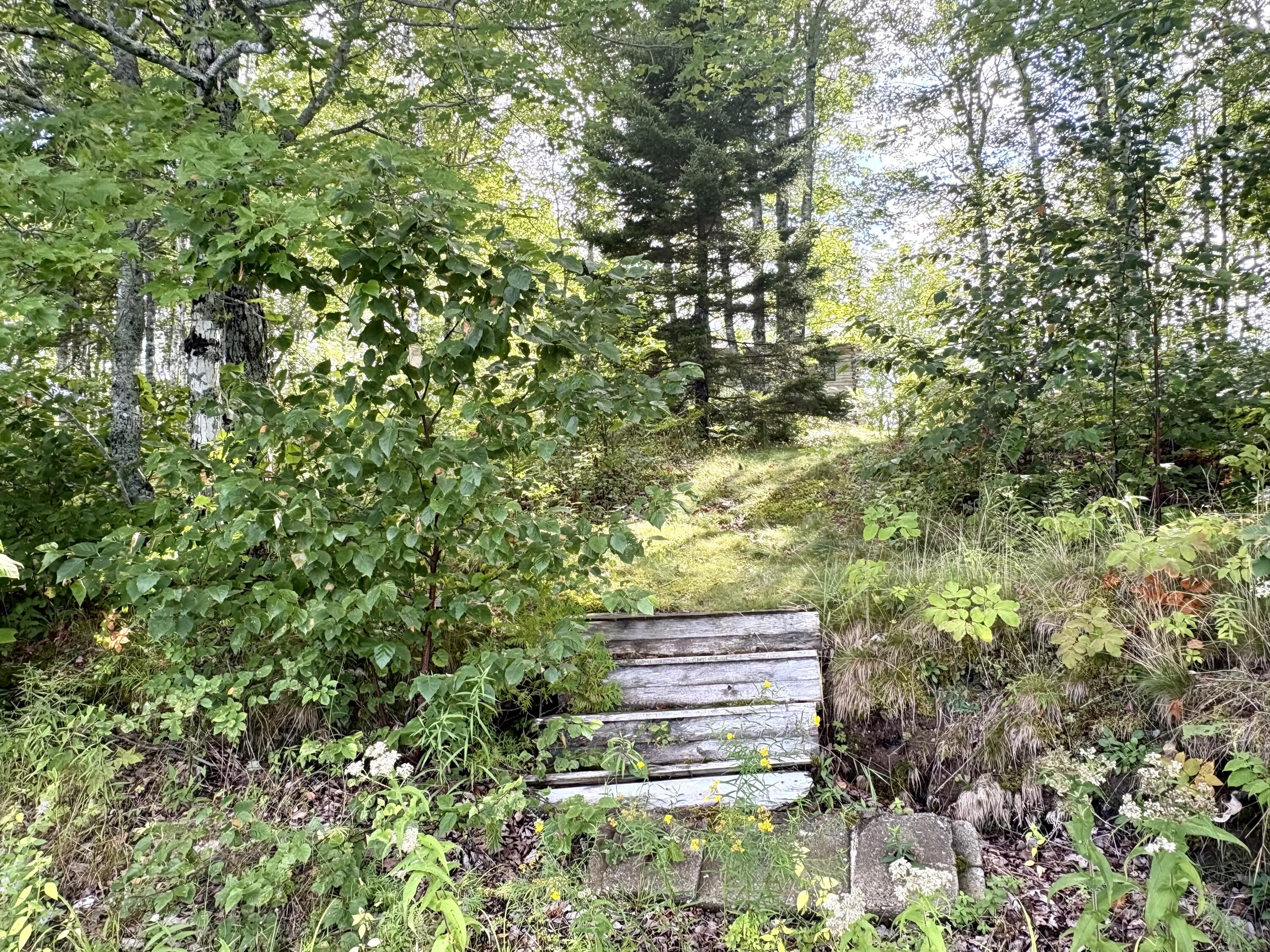 main property photo 23
