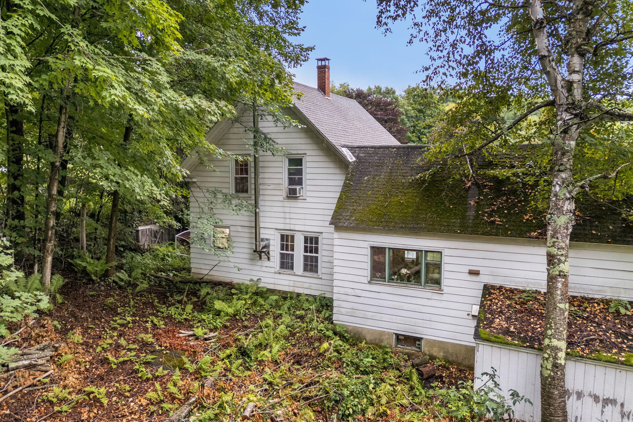 main property photo 41