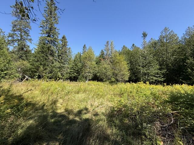 main property photo 93