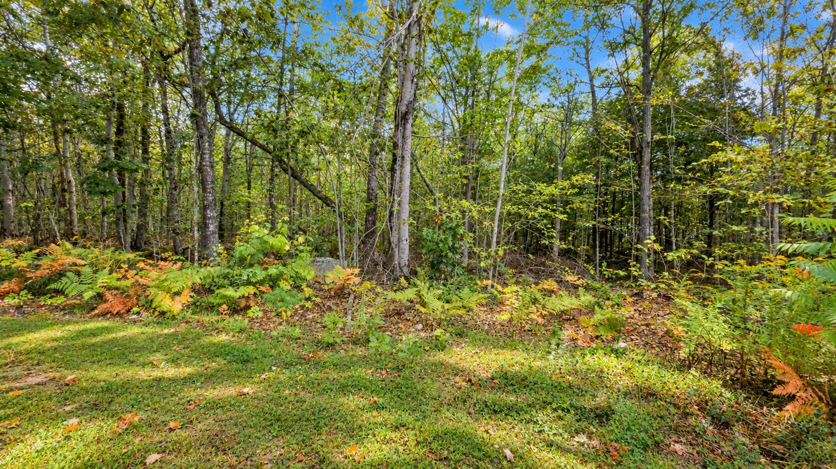 main property photo 36