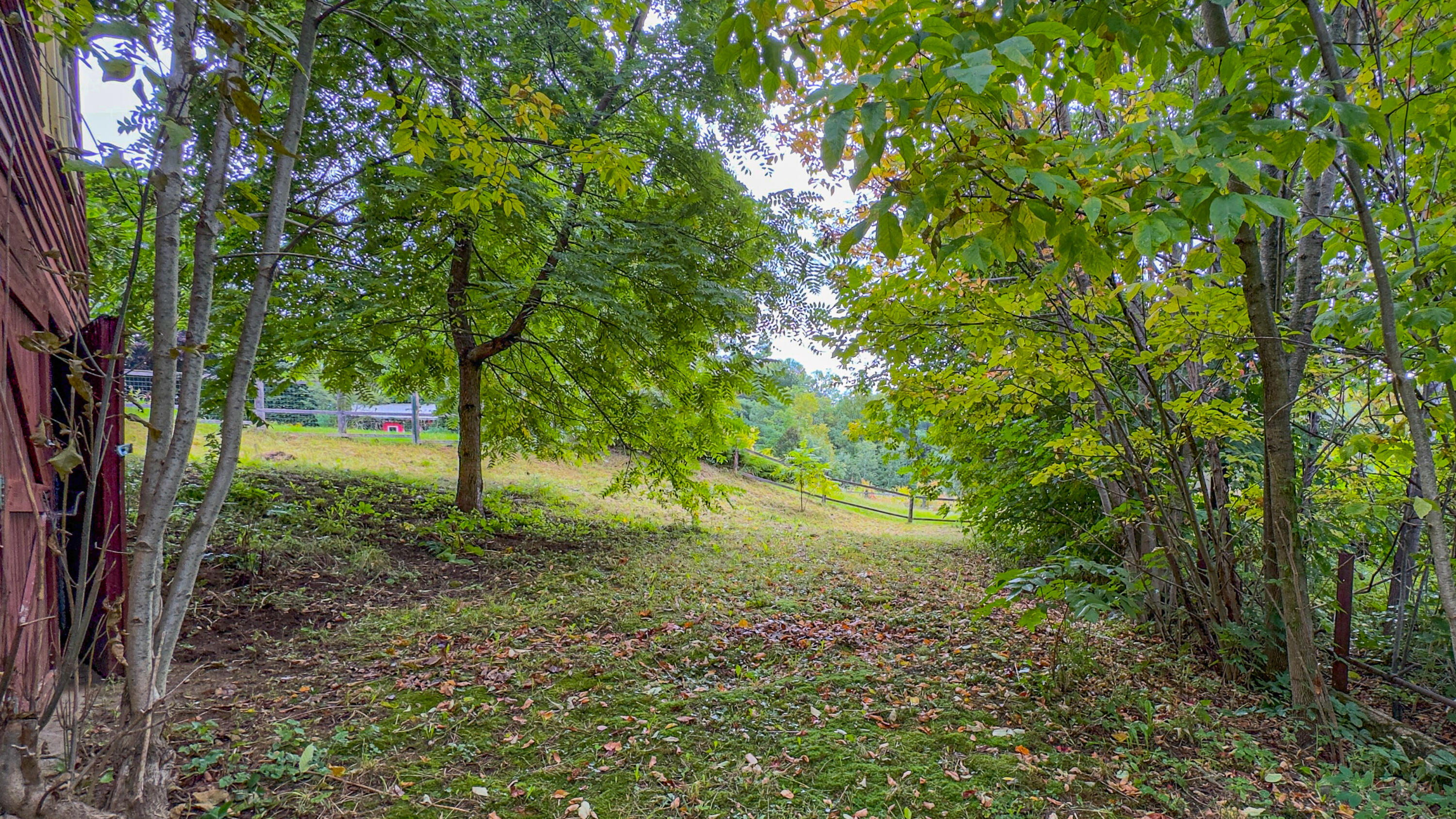 main property photo 25