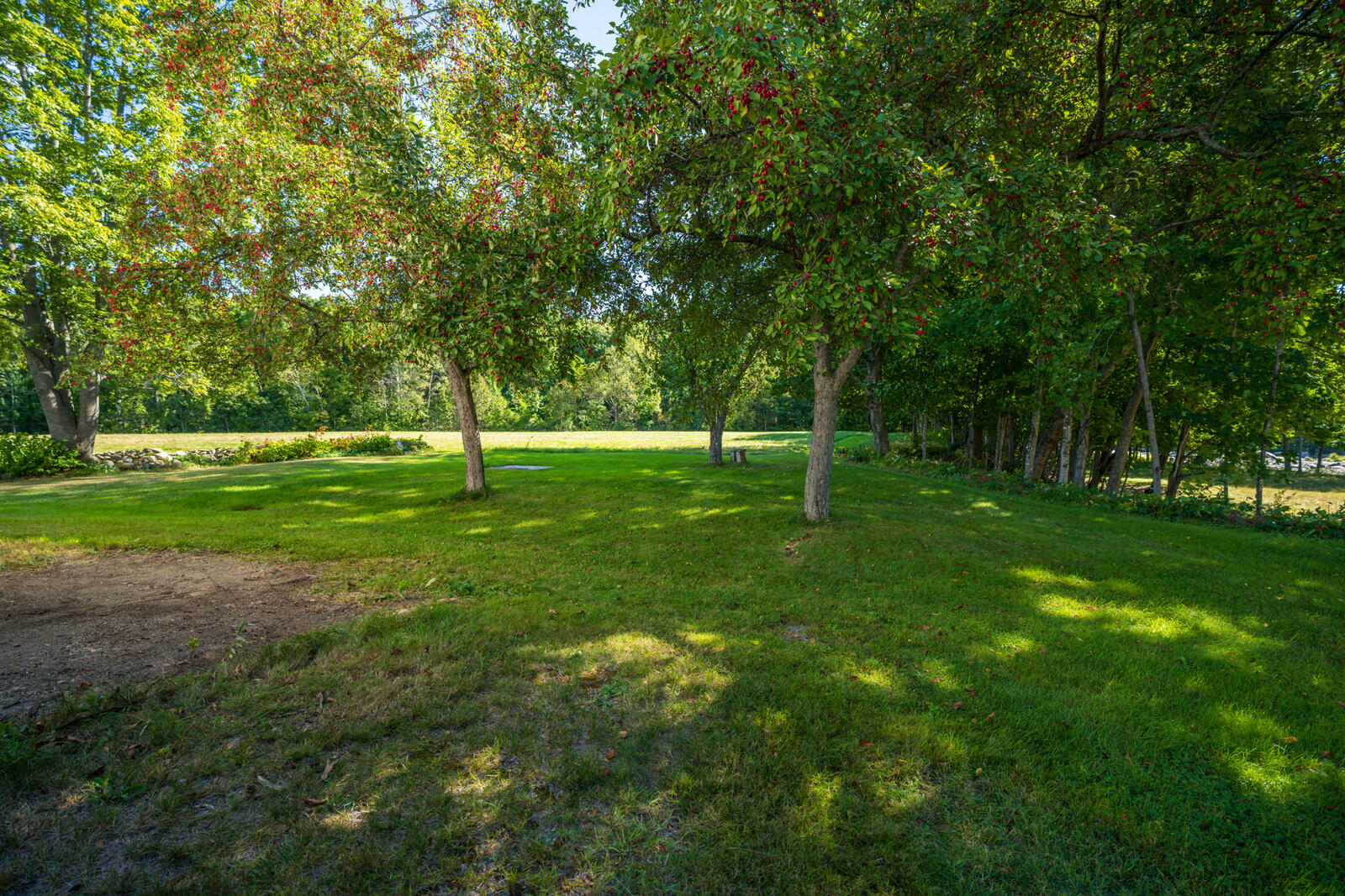main property photo 43