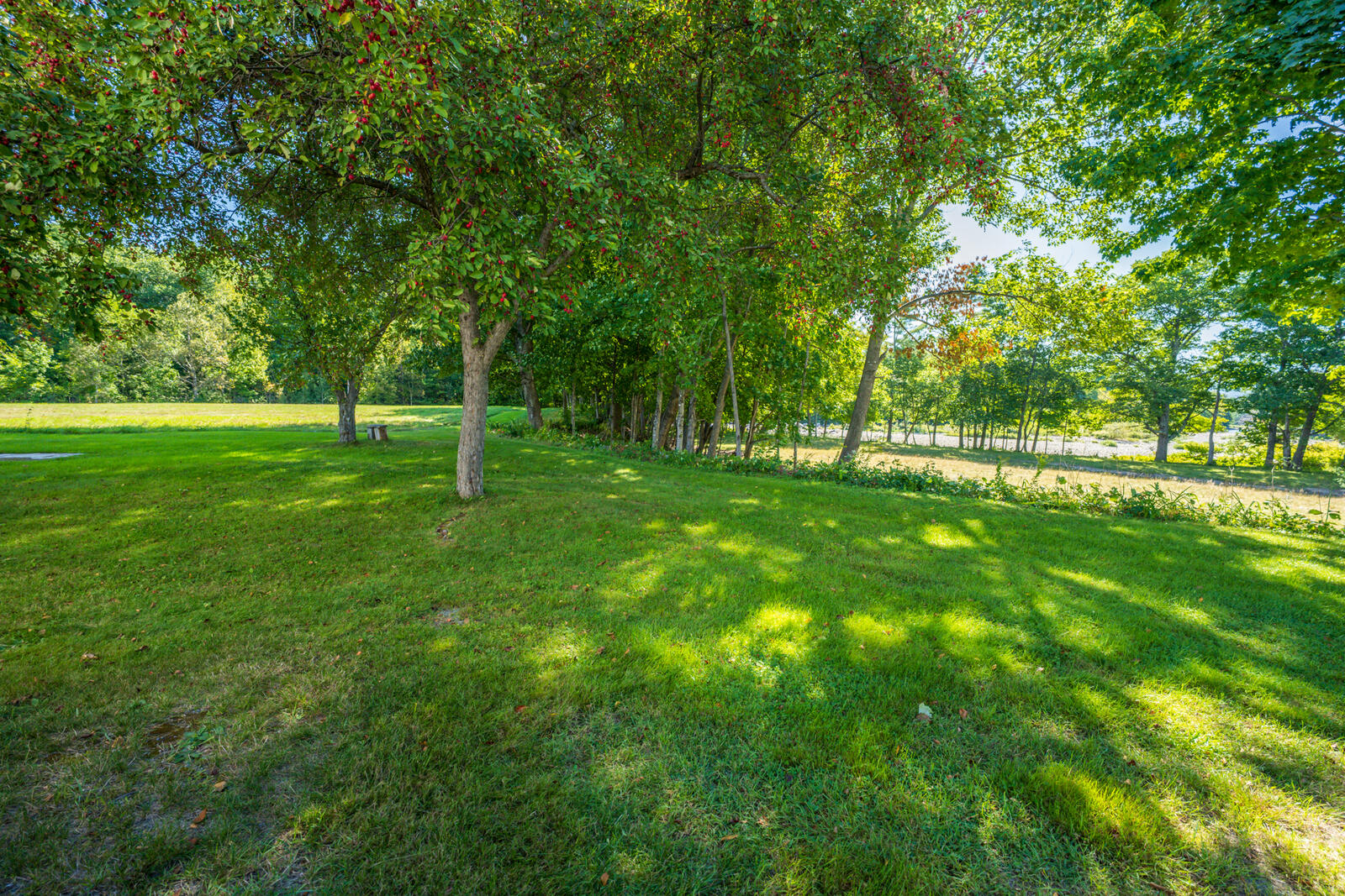 main property photo 44