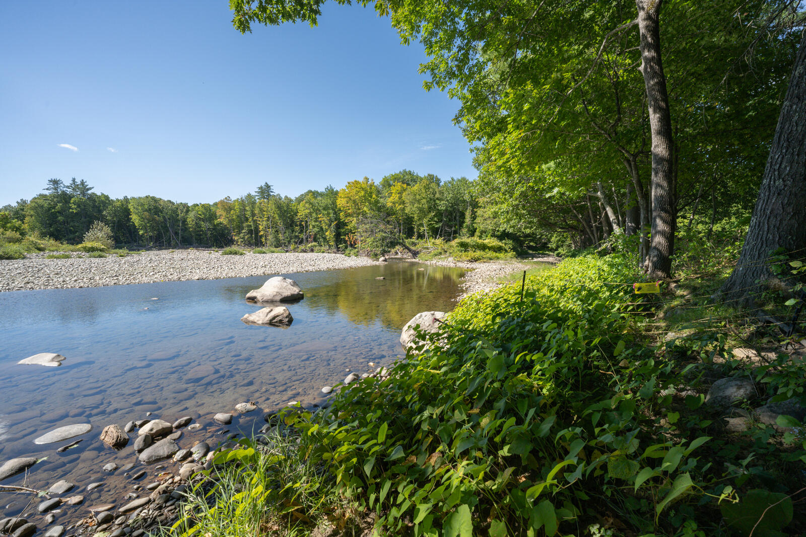 main property photo 81