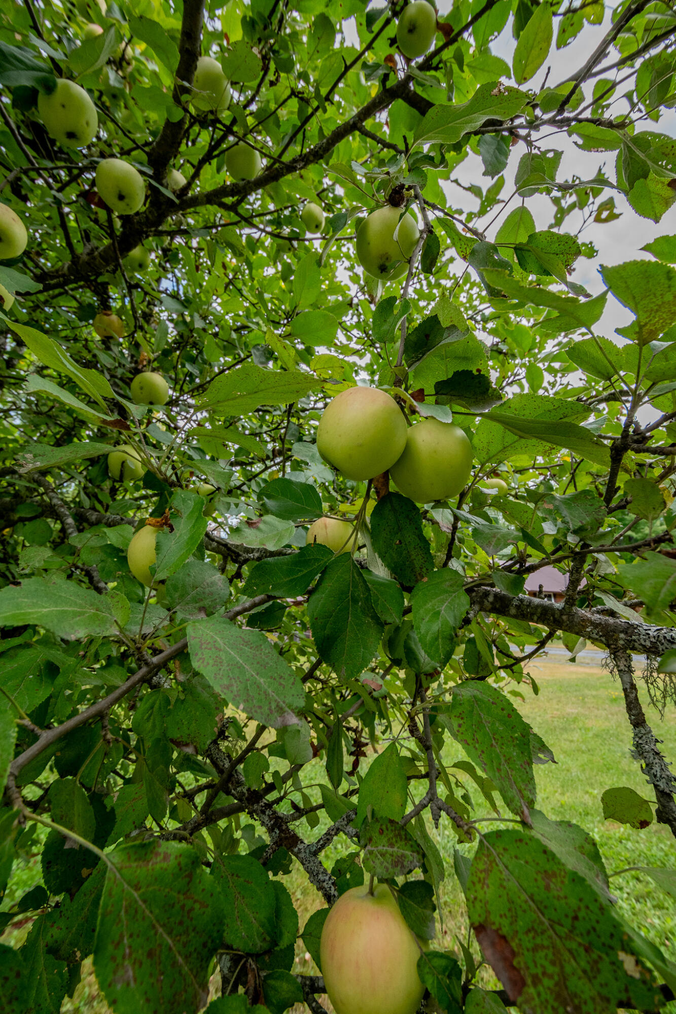 main property photo 44