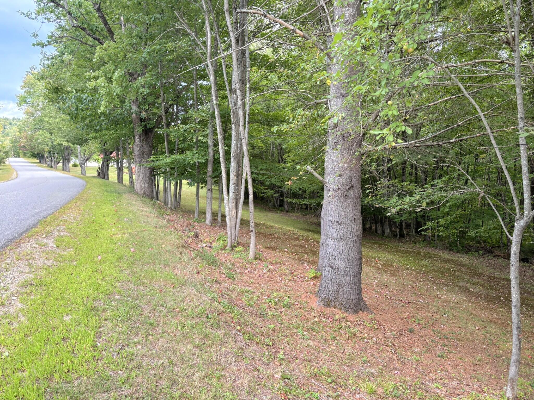 main property photo 52