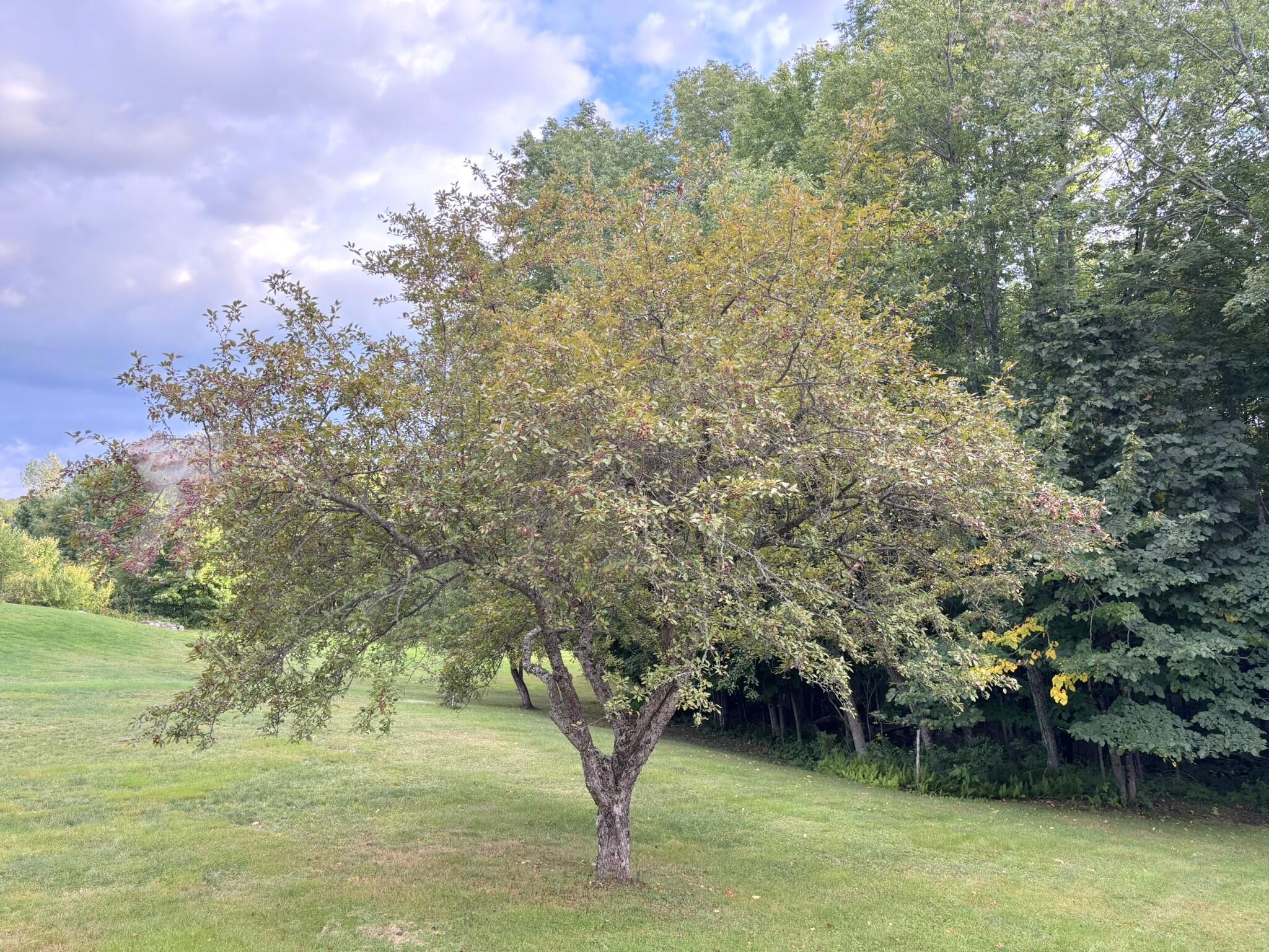 main property photo 63