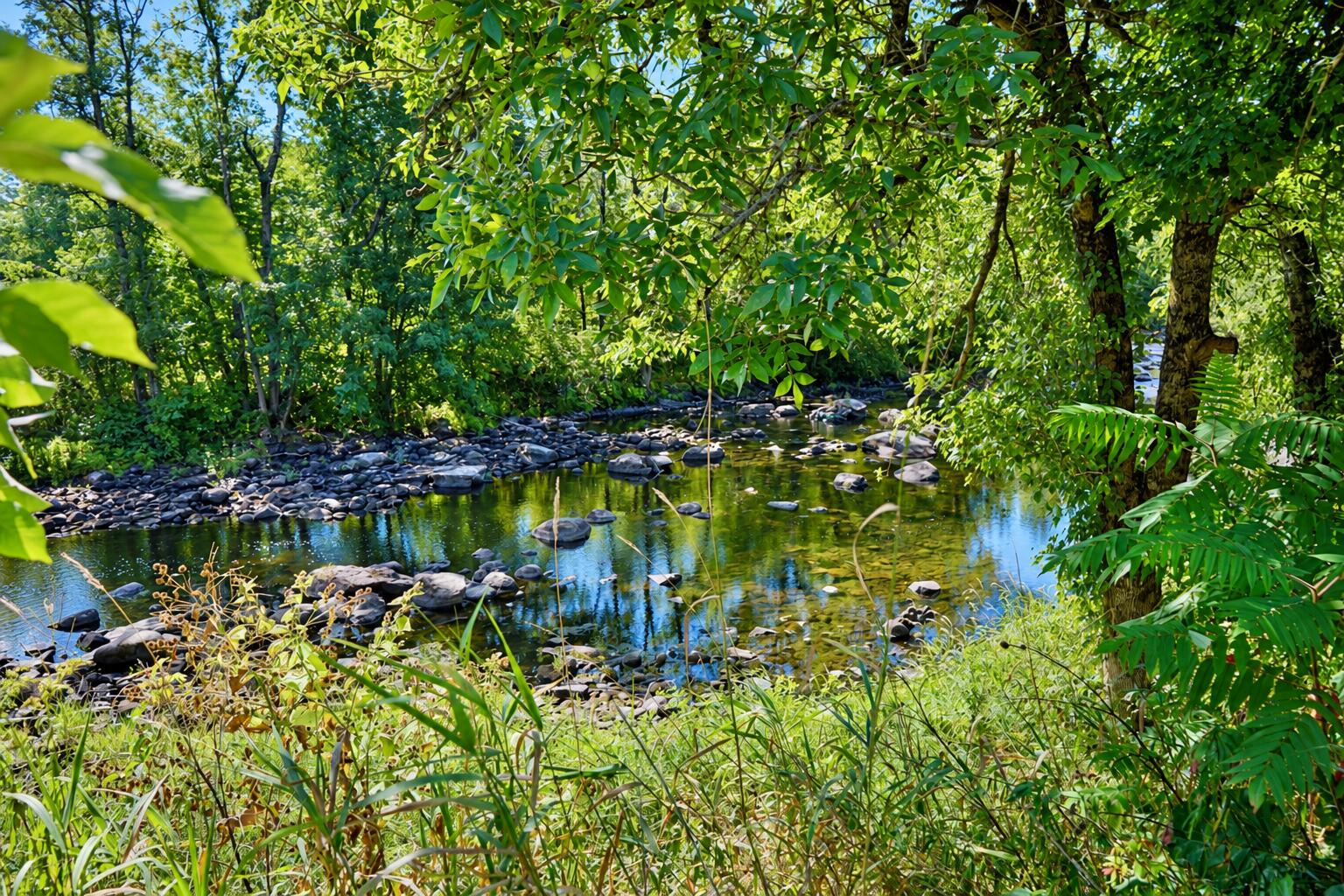 main property photo 31