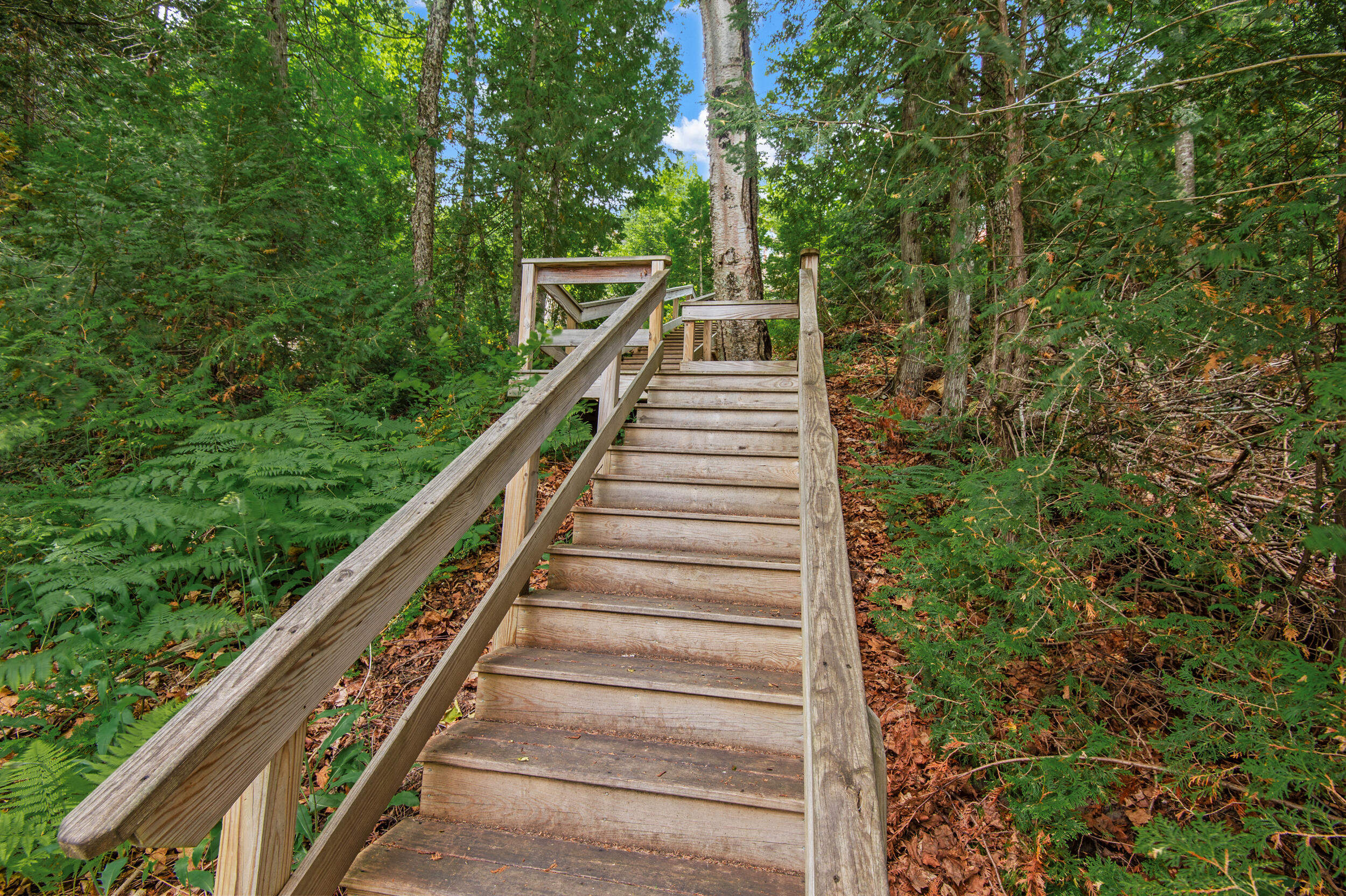 main property photo 67