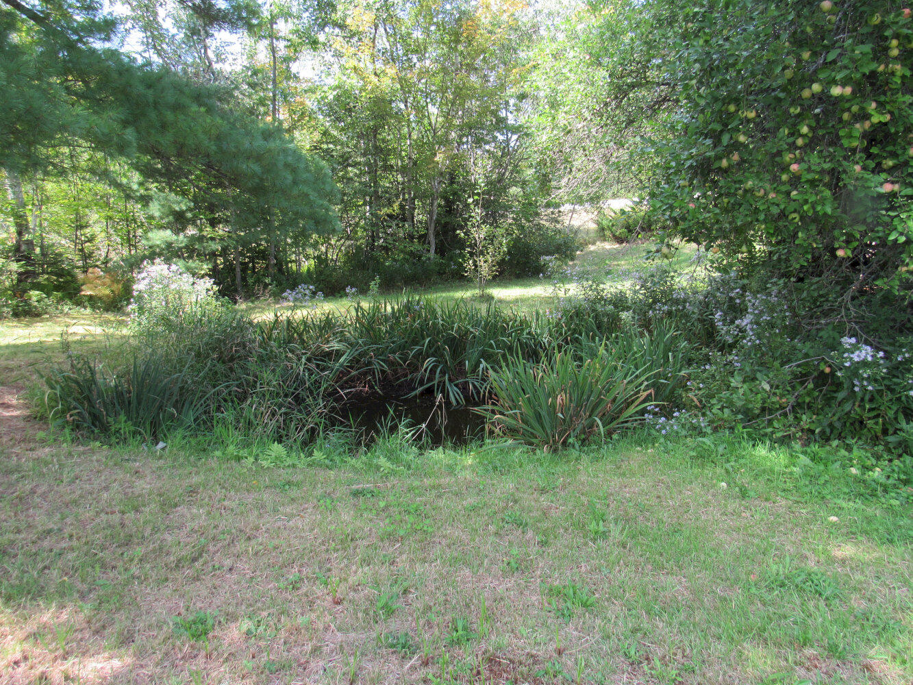 main property photo 11