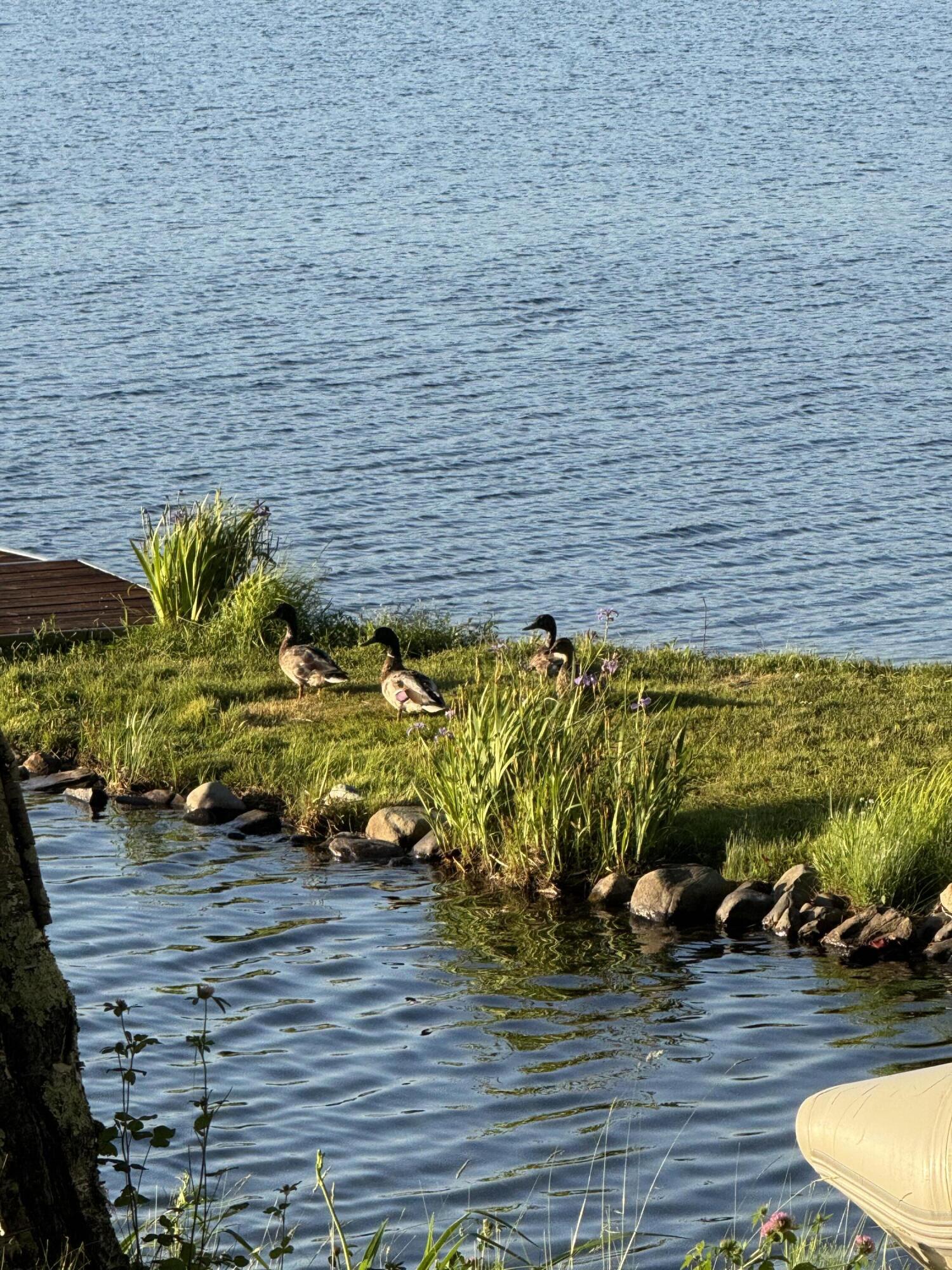 main property photo 19