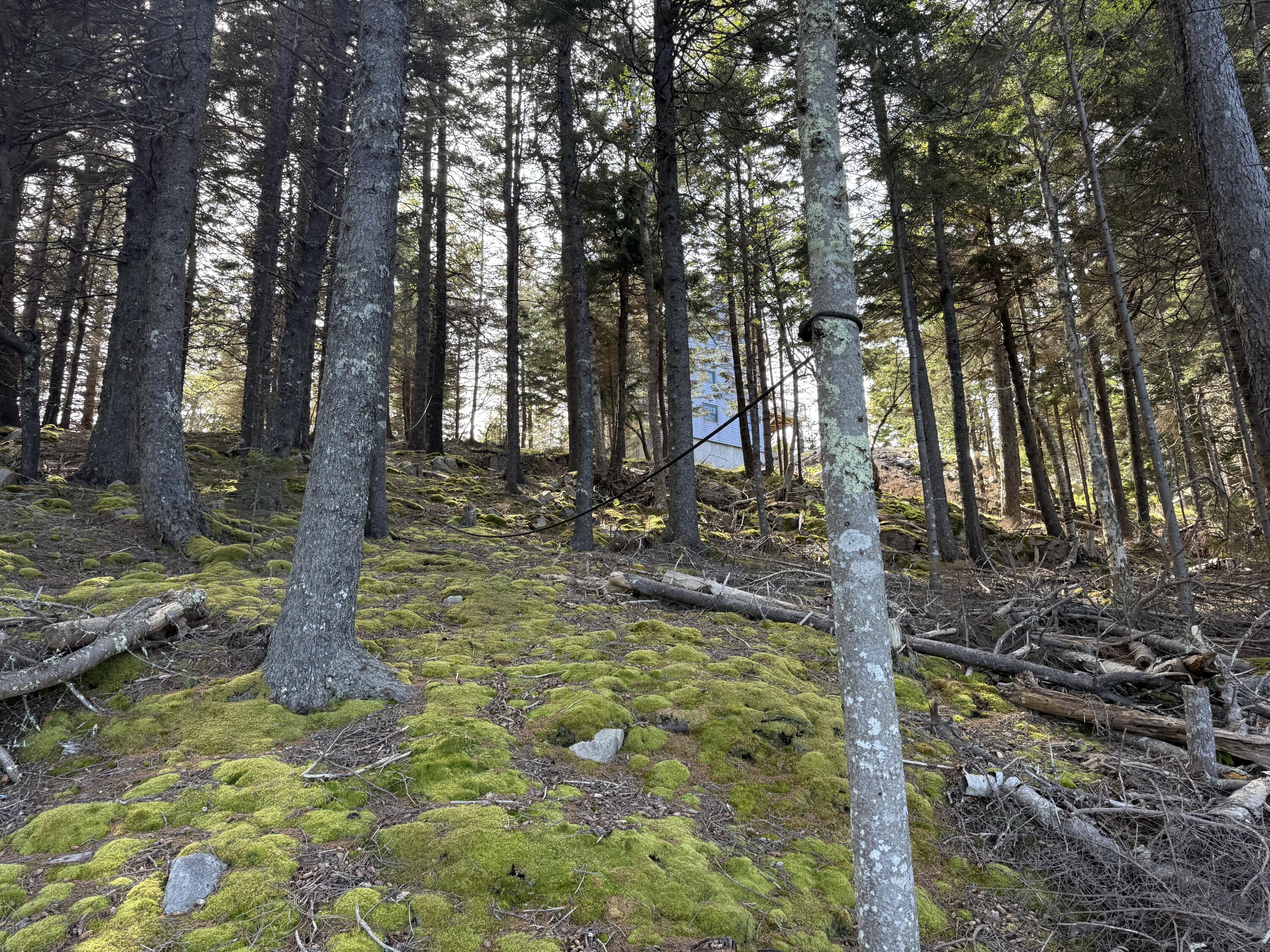 main property photo 84