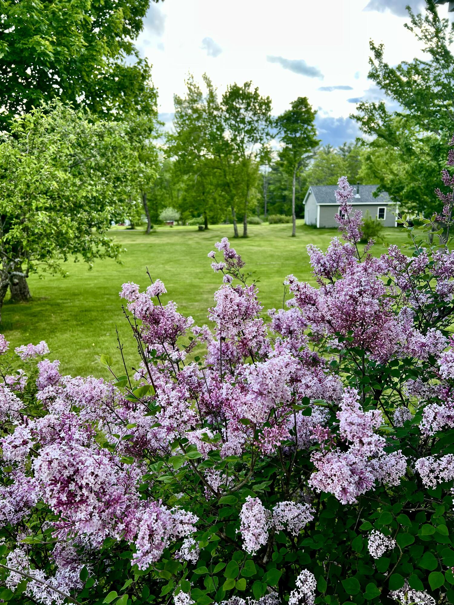 main property photo 79