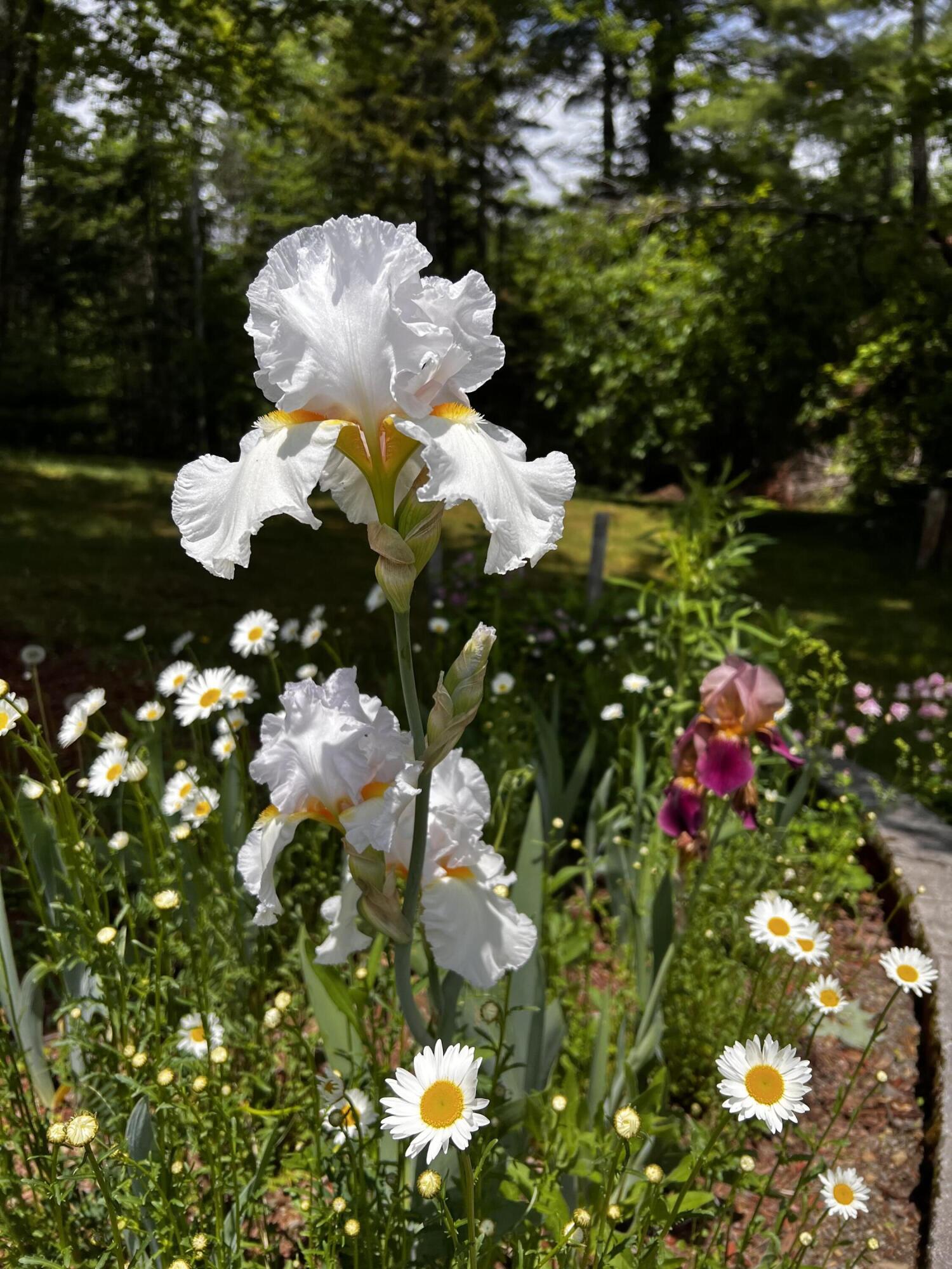 main property photo 82
