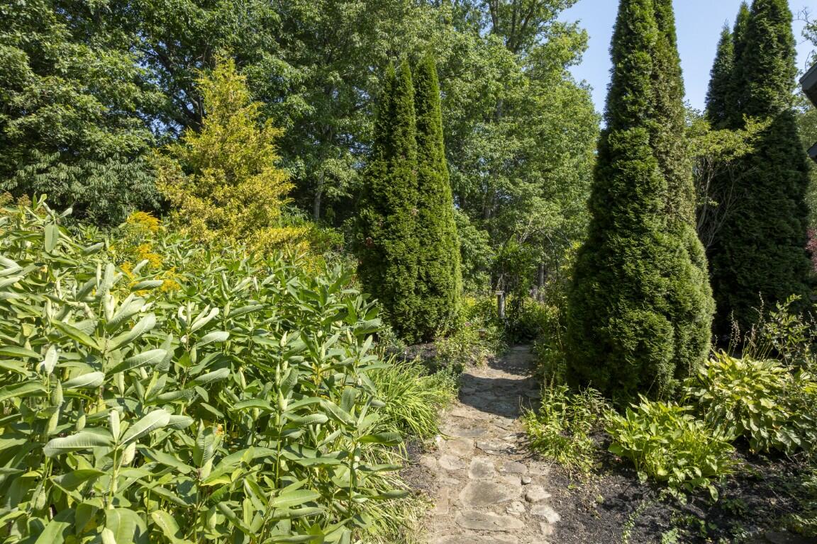 main property photo 53