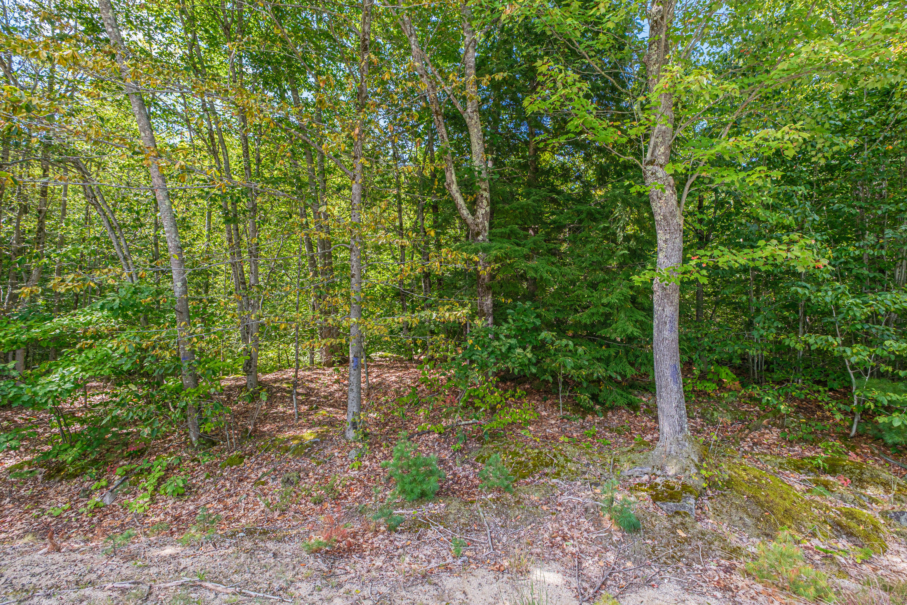 main property photo 53