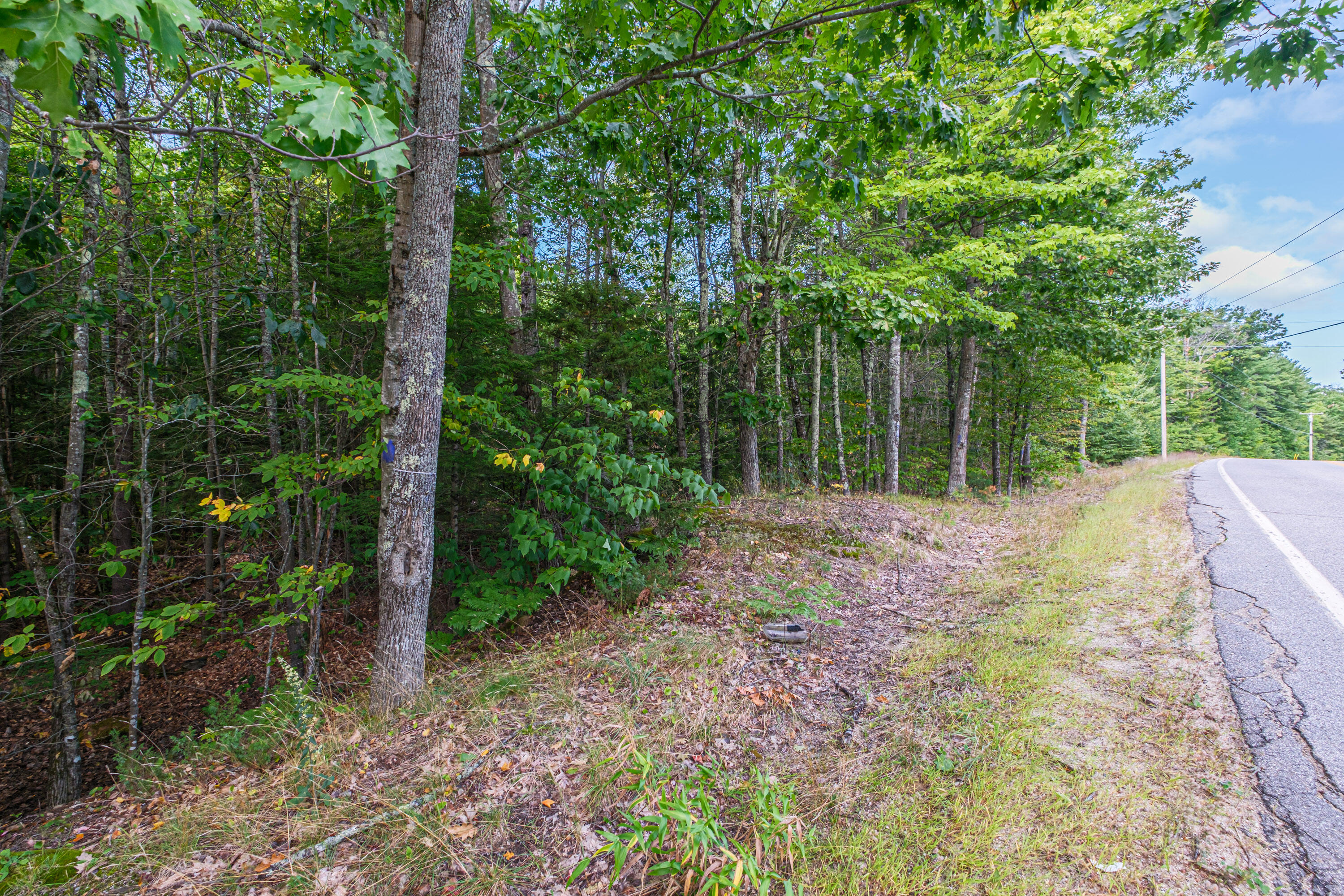 main property photo 54
