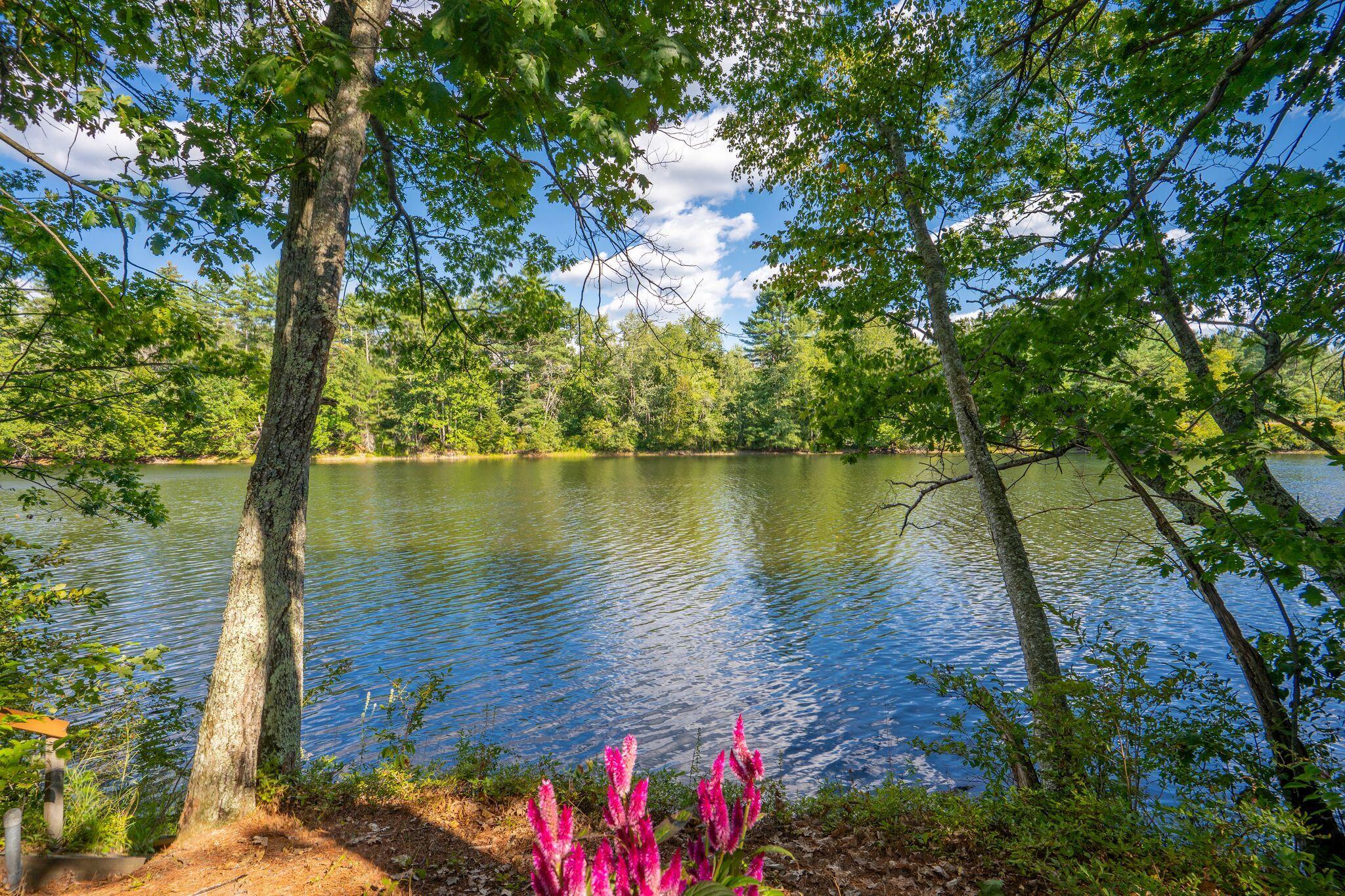 main property photo 81