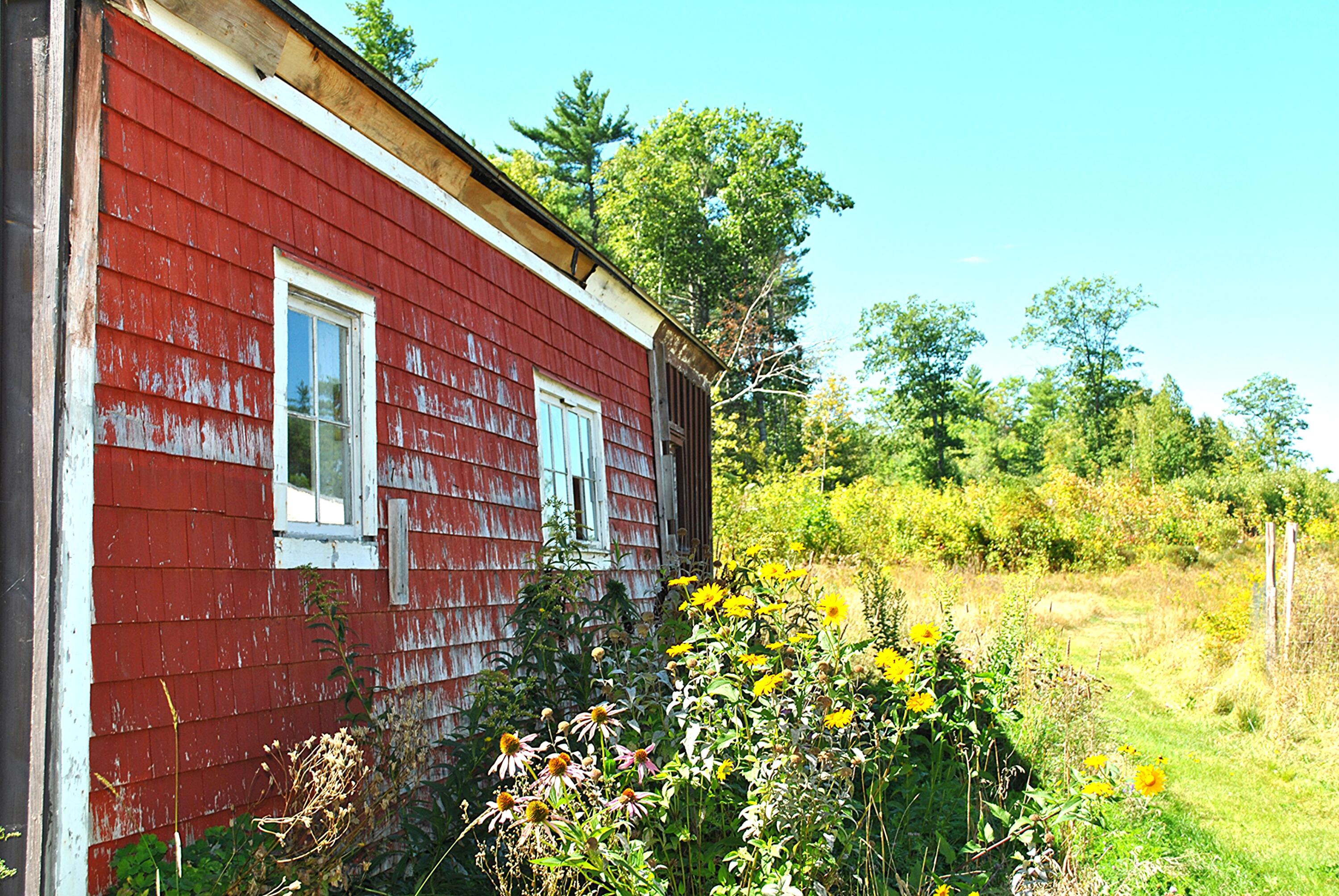 main property photo 25