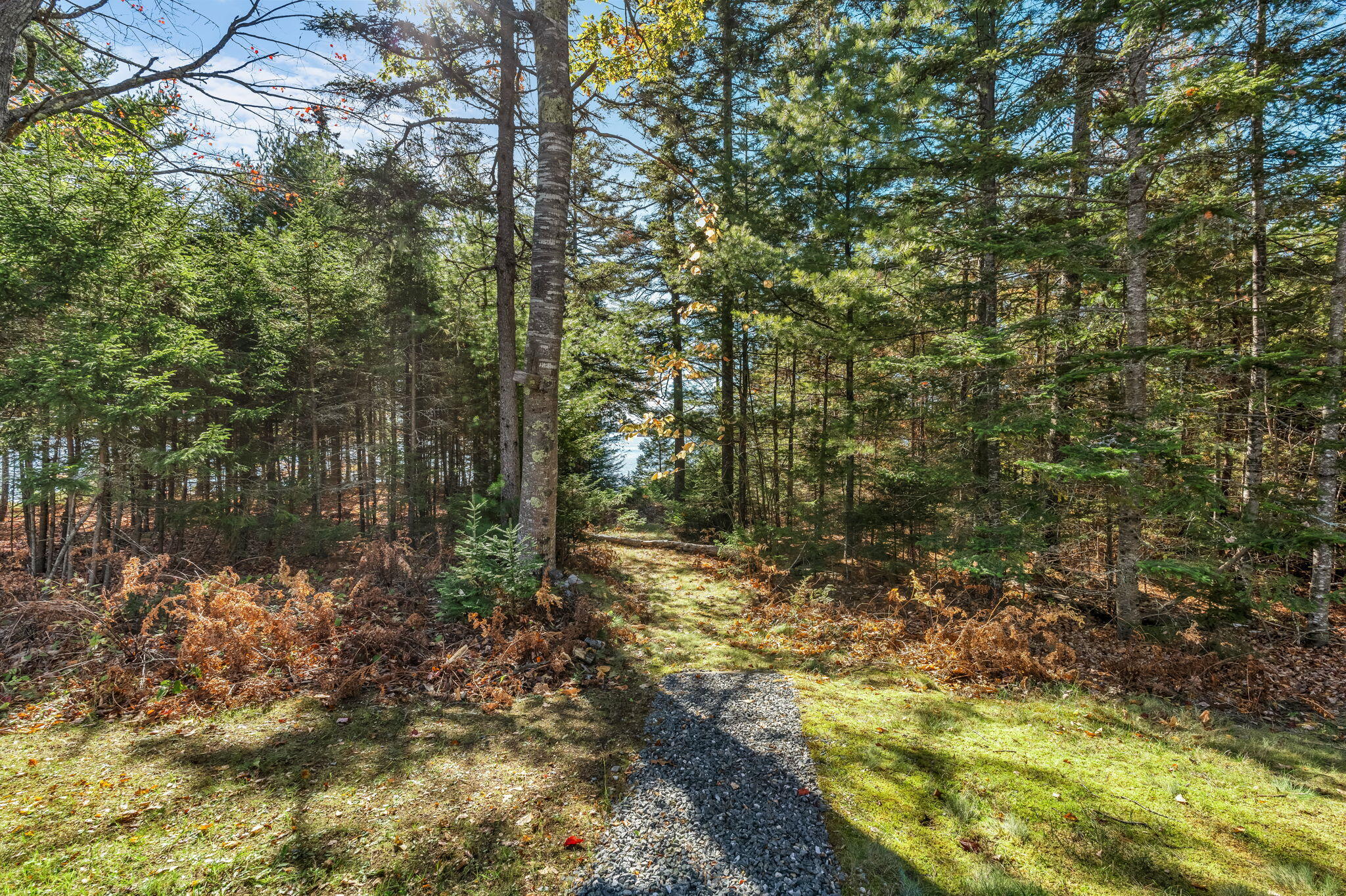 main property photo 67