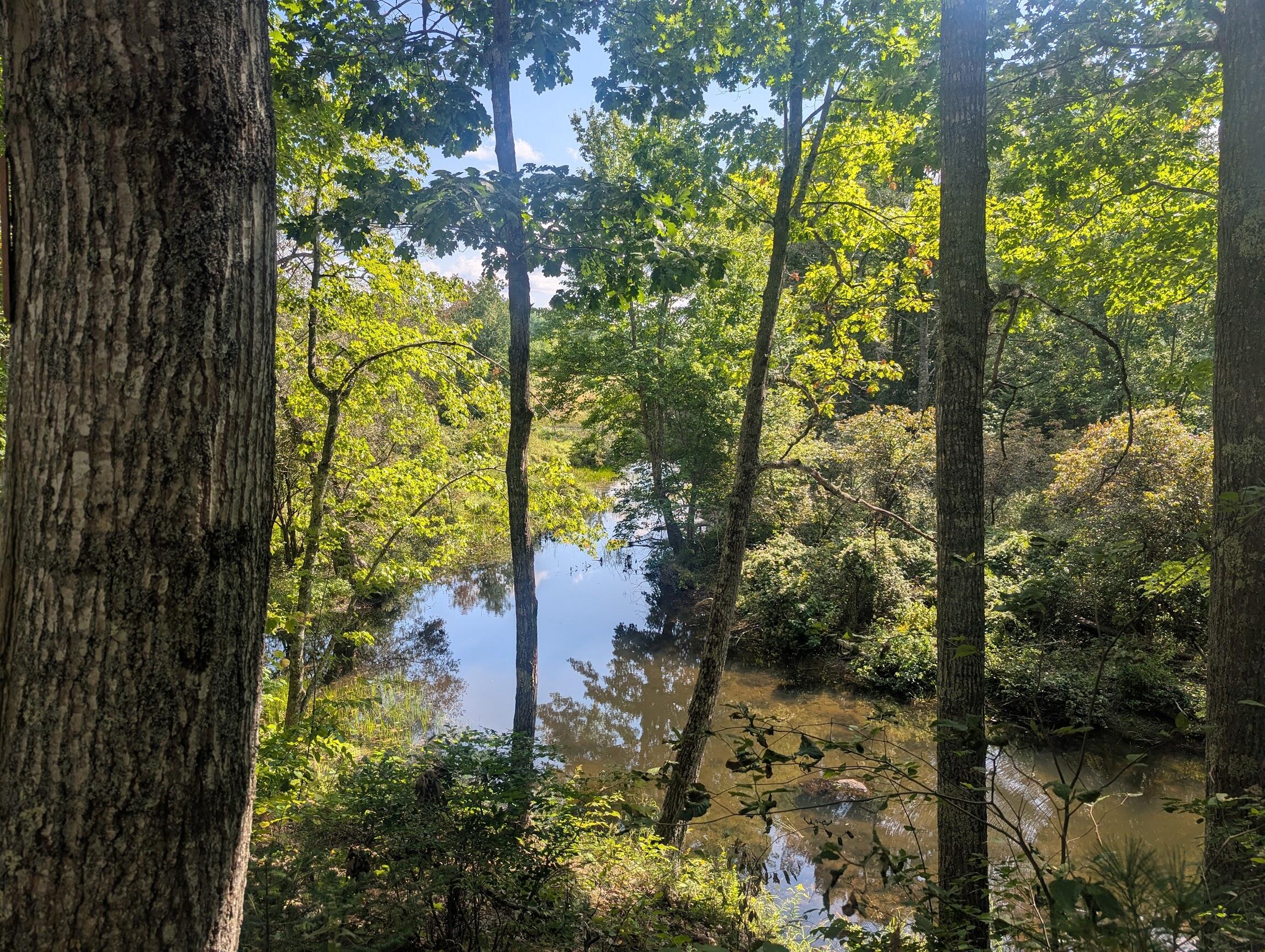 main property photo 18