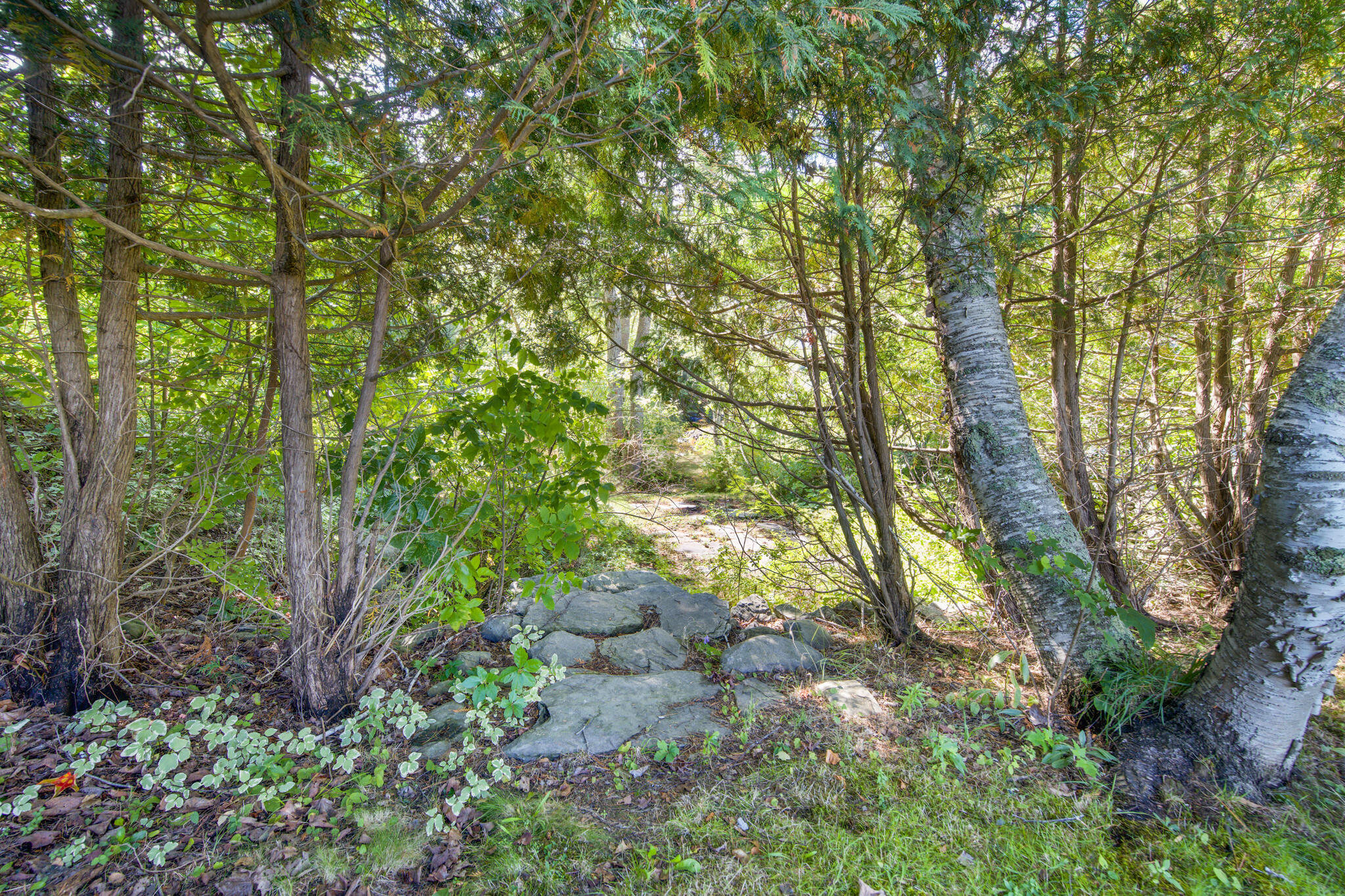 main property photo 104